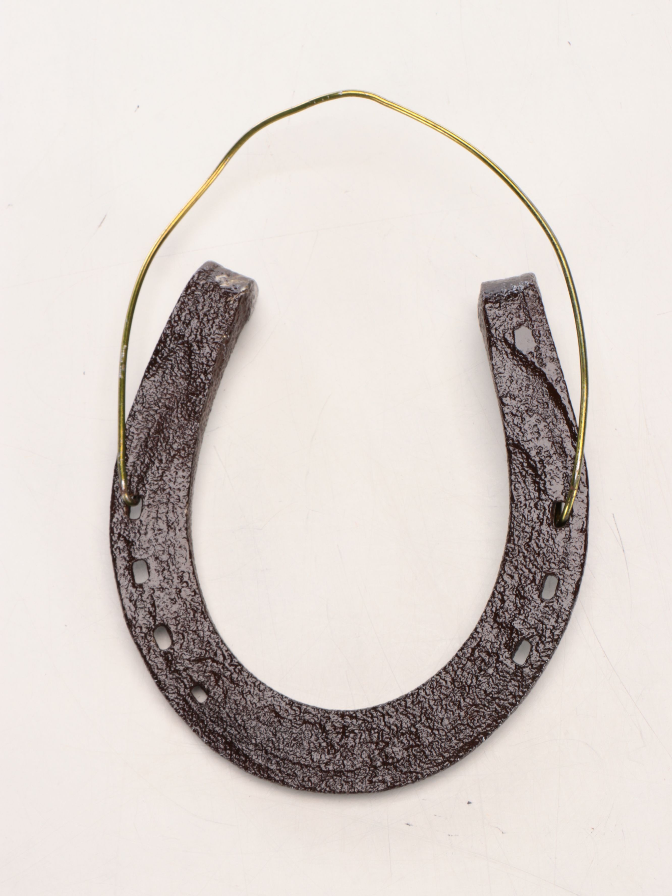 U.S. 50-Star Civil Peace Flag with Horseshoe