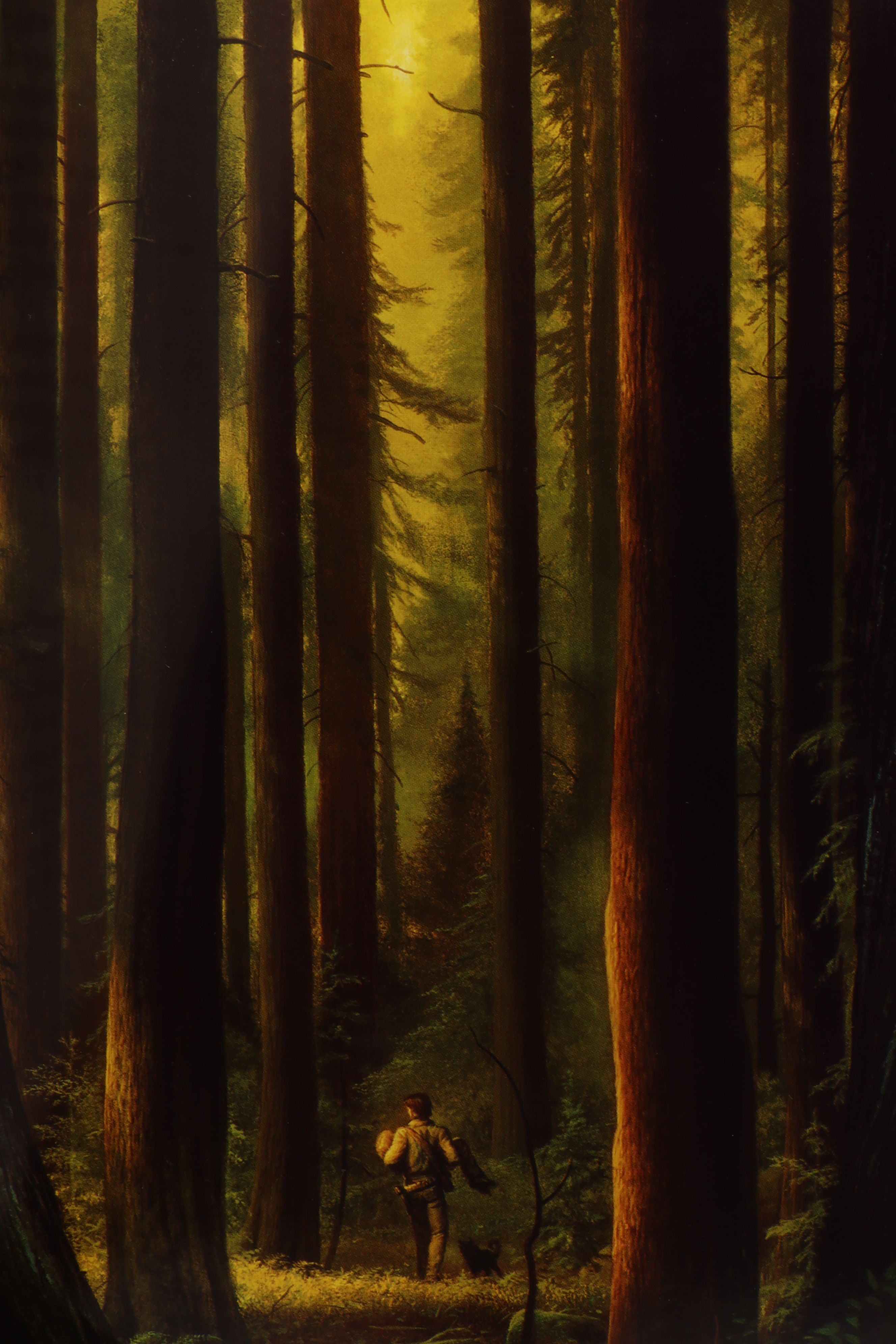 First Trade Edition "The Dark Tower" Partial Series by Stephen King