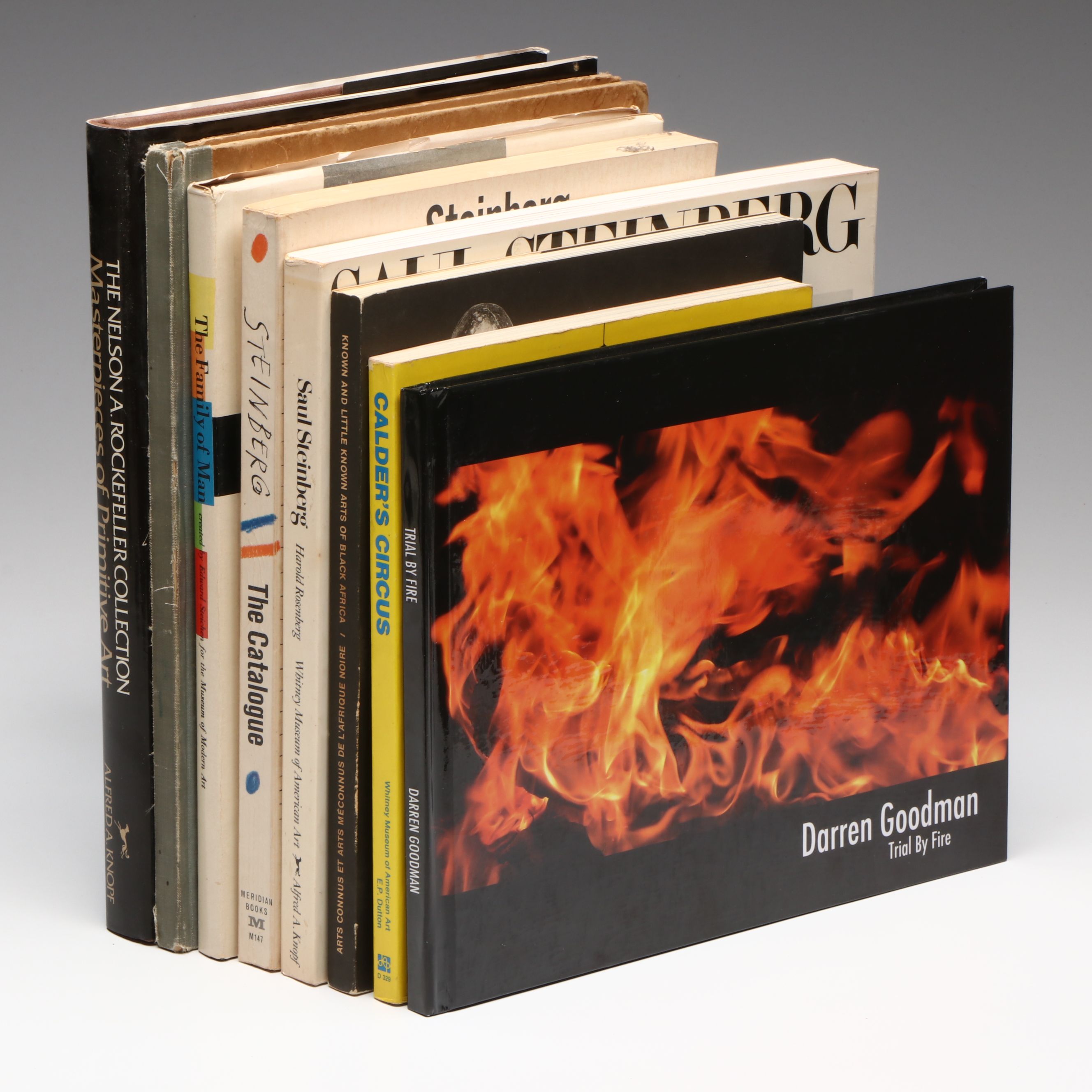 Signed "Trial by Fire" by Darren Goodman and More Art Books