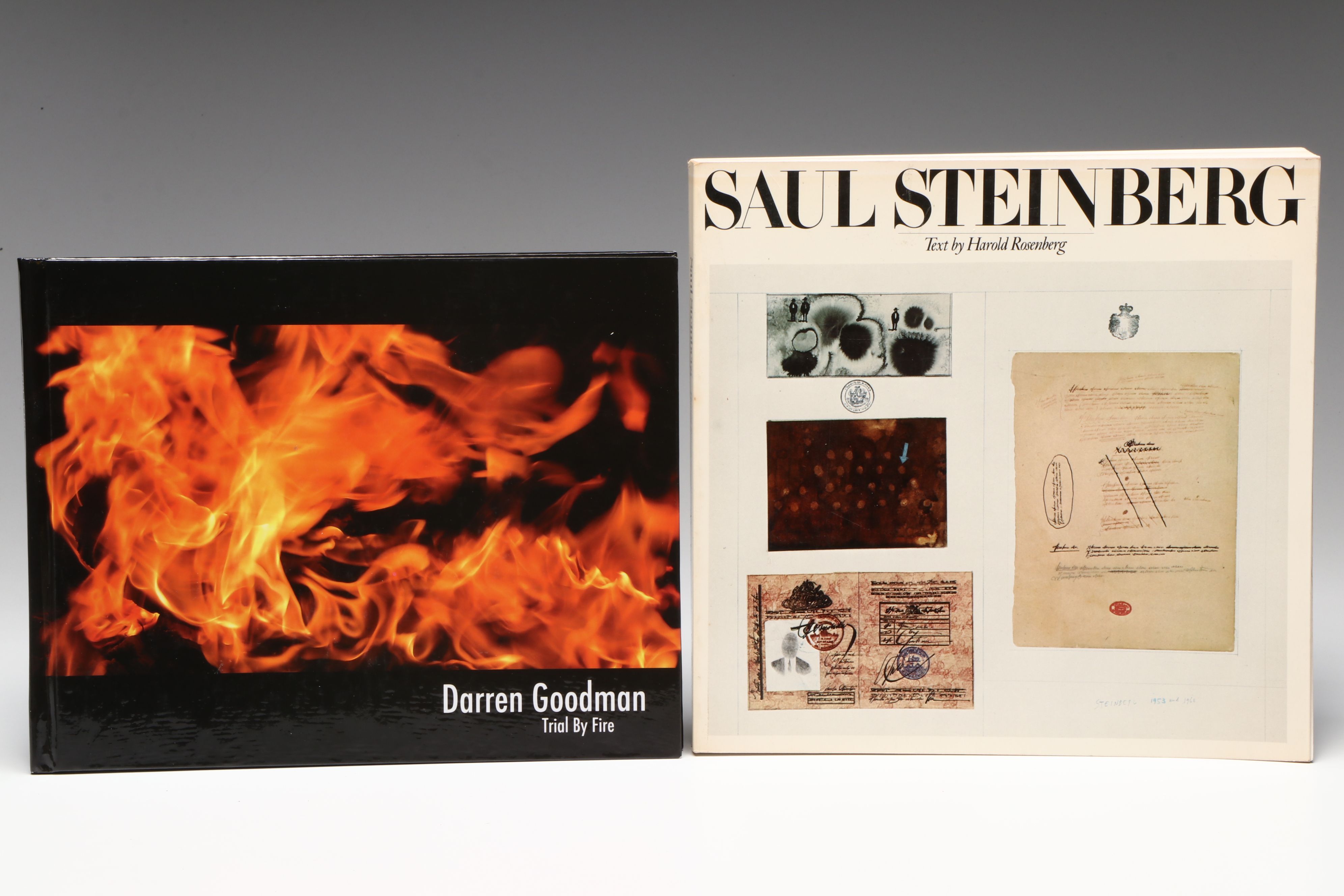 Signed "Trial by Fire" by Darren Goodman and More Art Books