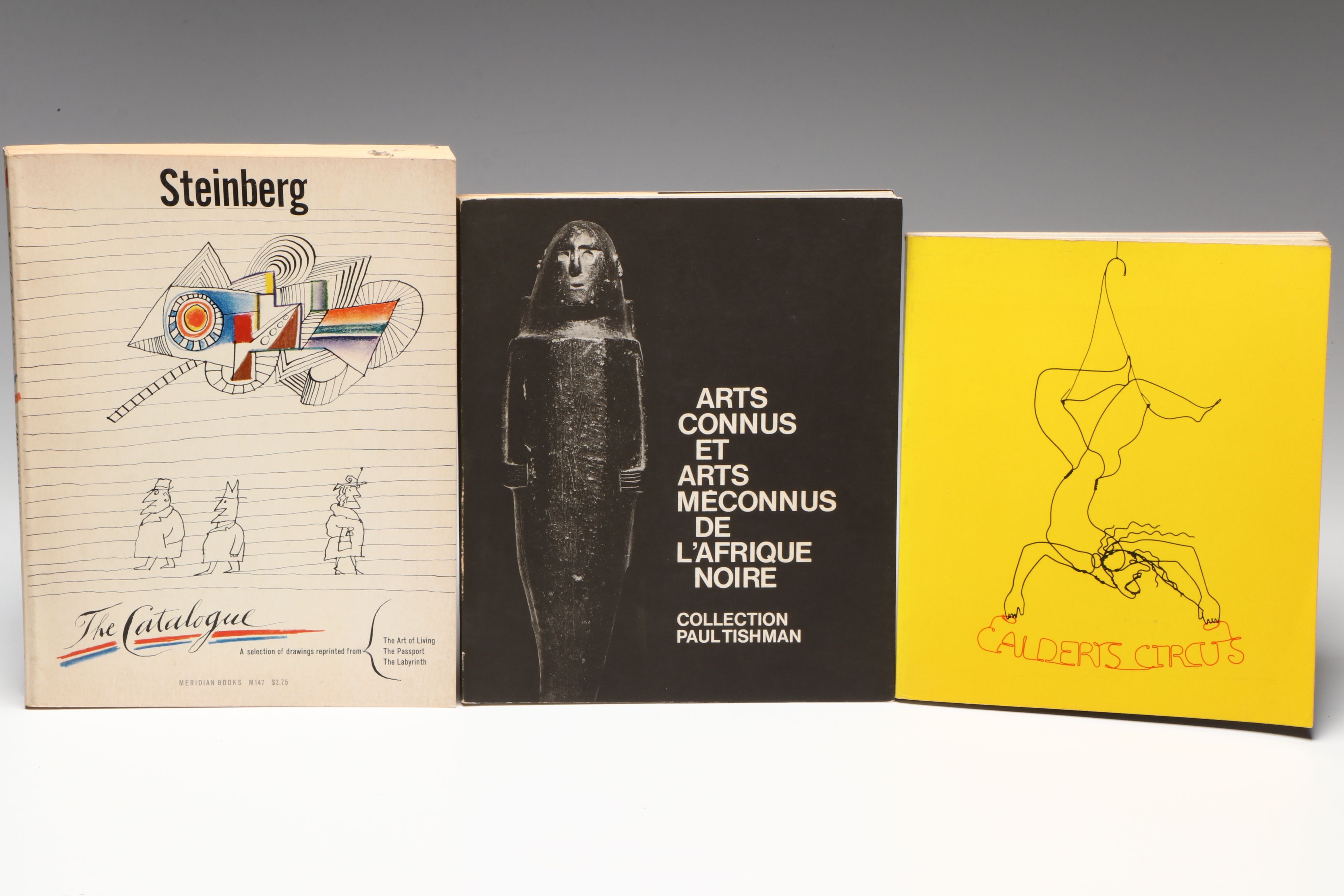 Signed "Trial by Fire" by Darren Goodman and More Art Books