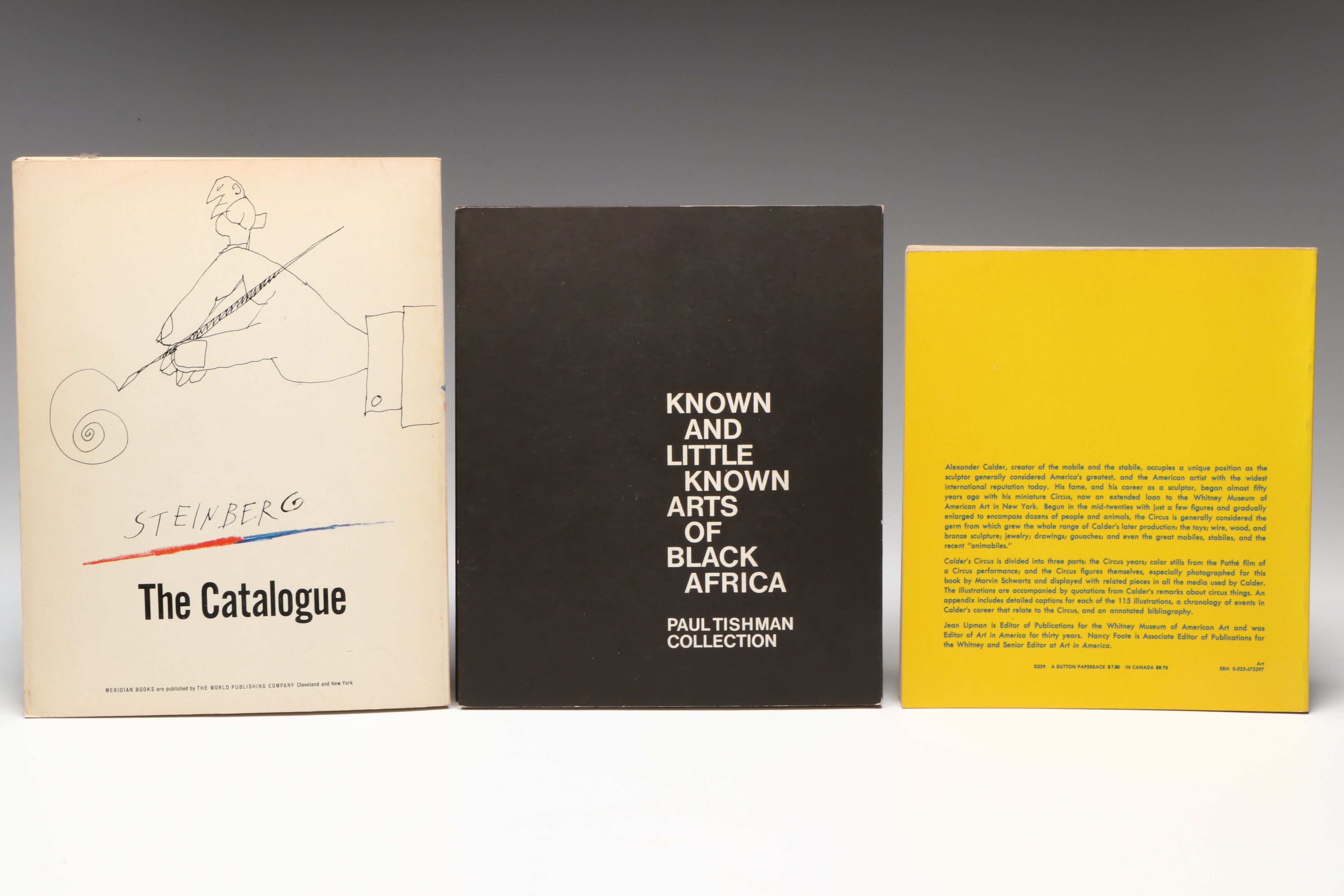 Signed "Trial by Fire" by Darren Goodman and More Art Books