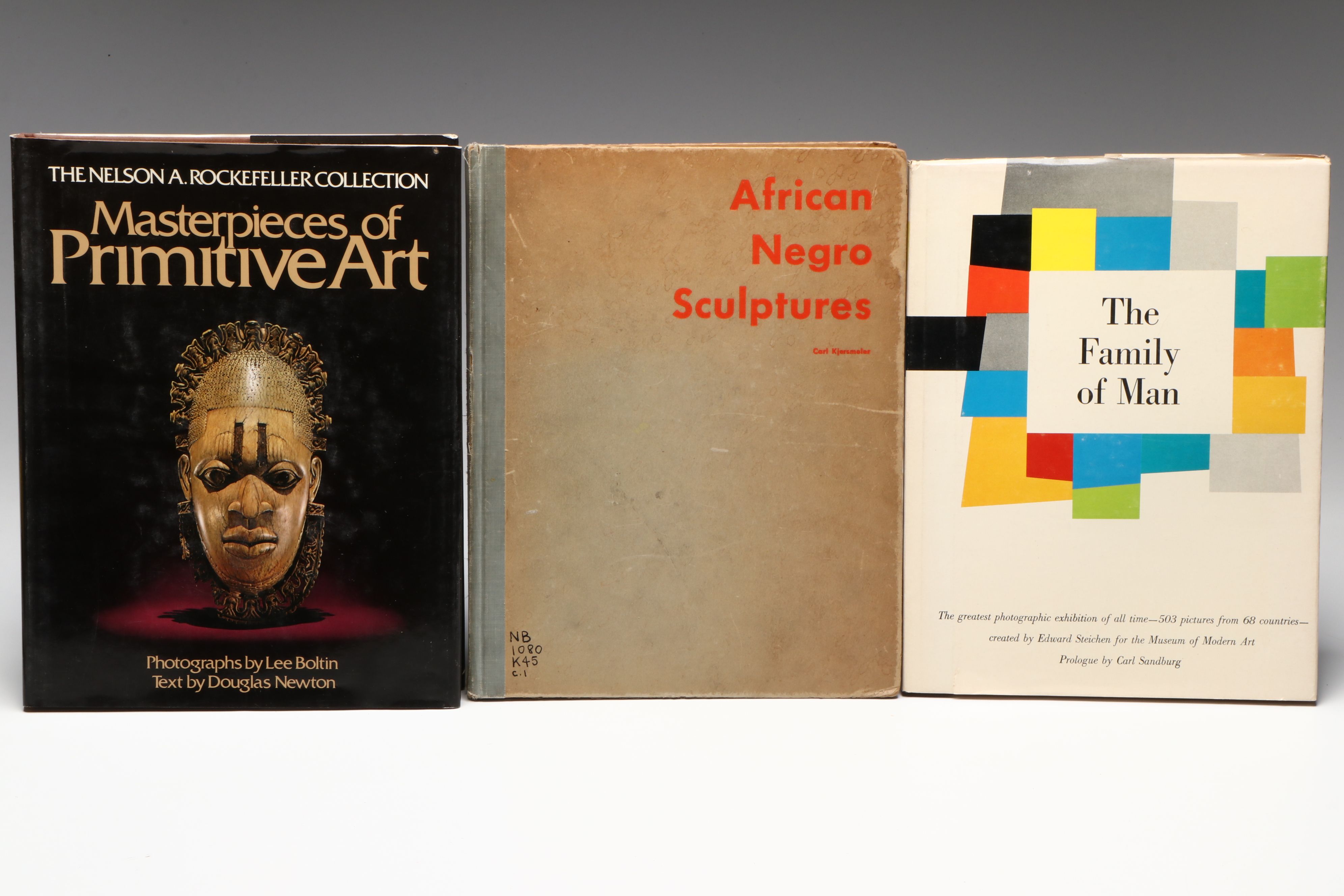 Signed "Trial by Fire" by Darren Goodman and More Art Books