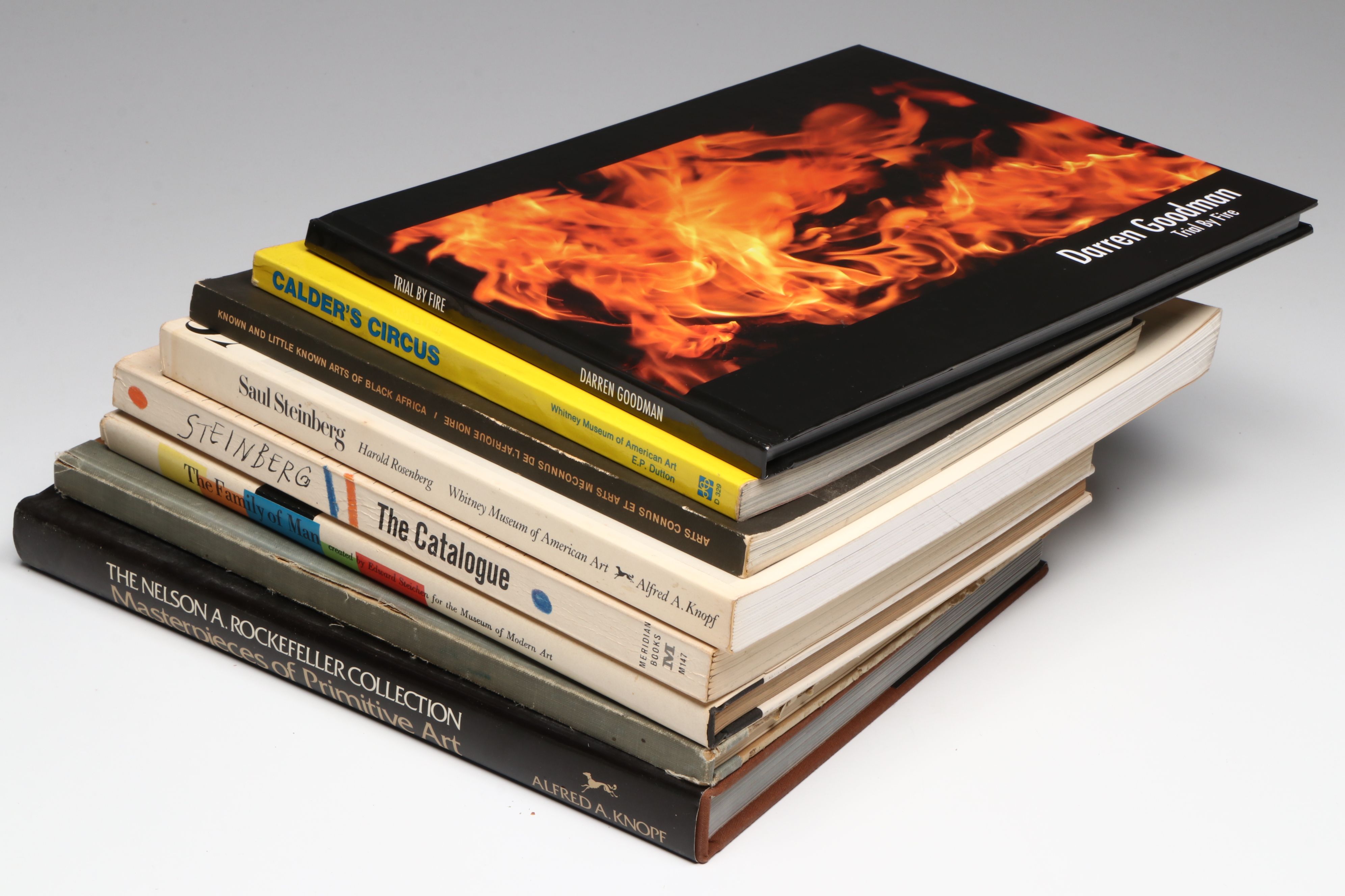 Signed "Trial by Fire" by Darren Goodman and More Art Books