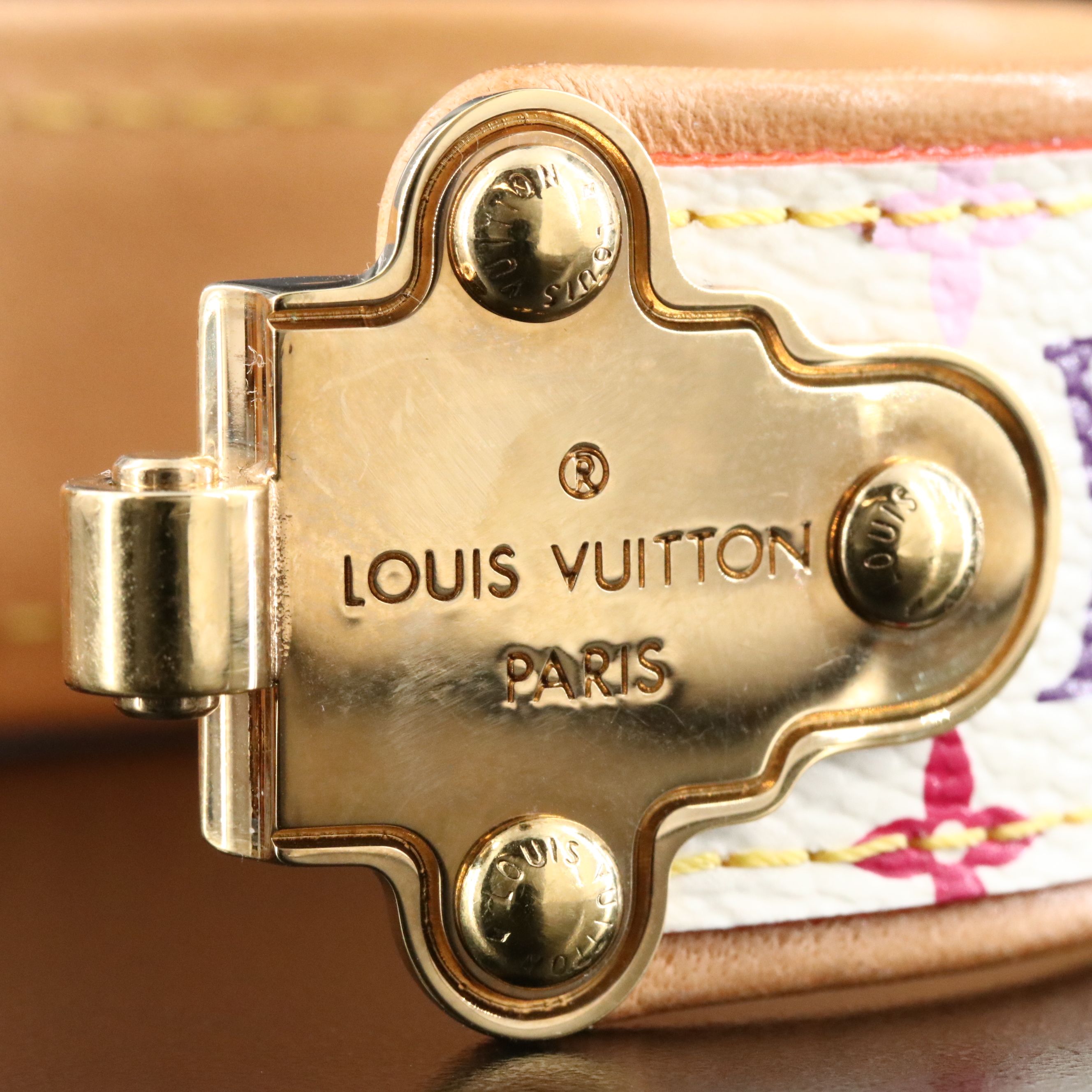 Louis Vuitton Multicolor Monogram Save It Bracelet