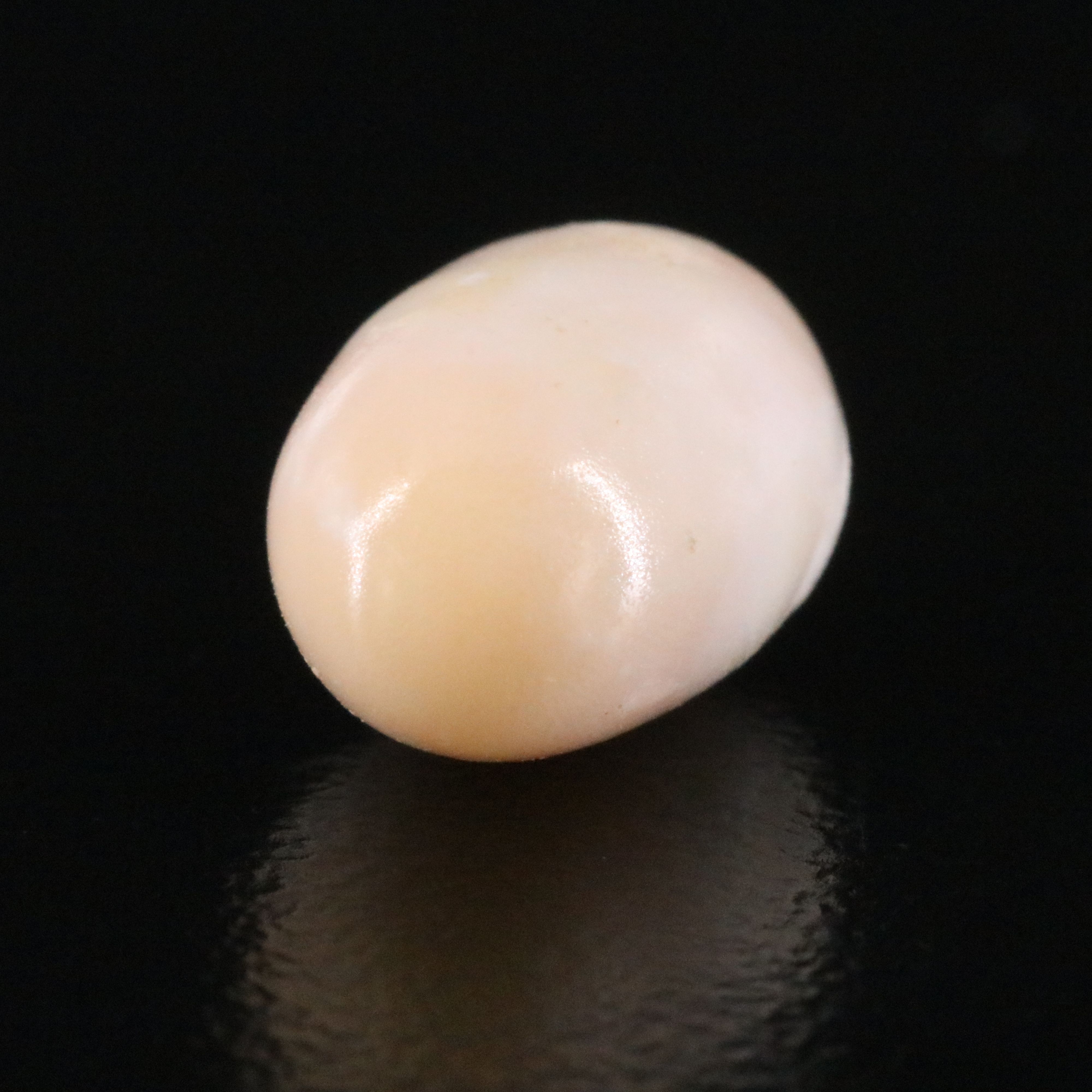 Loose 3.96 CT Conch Pearl