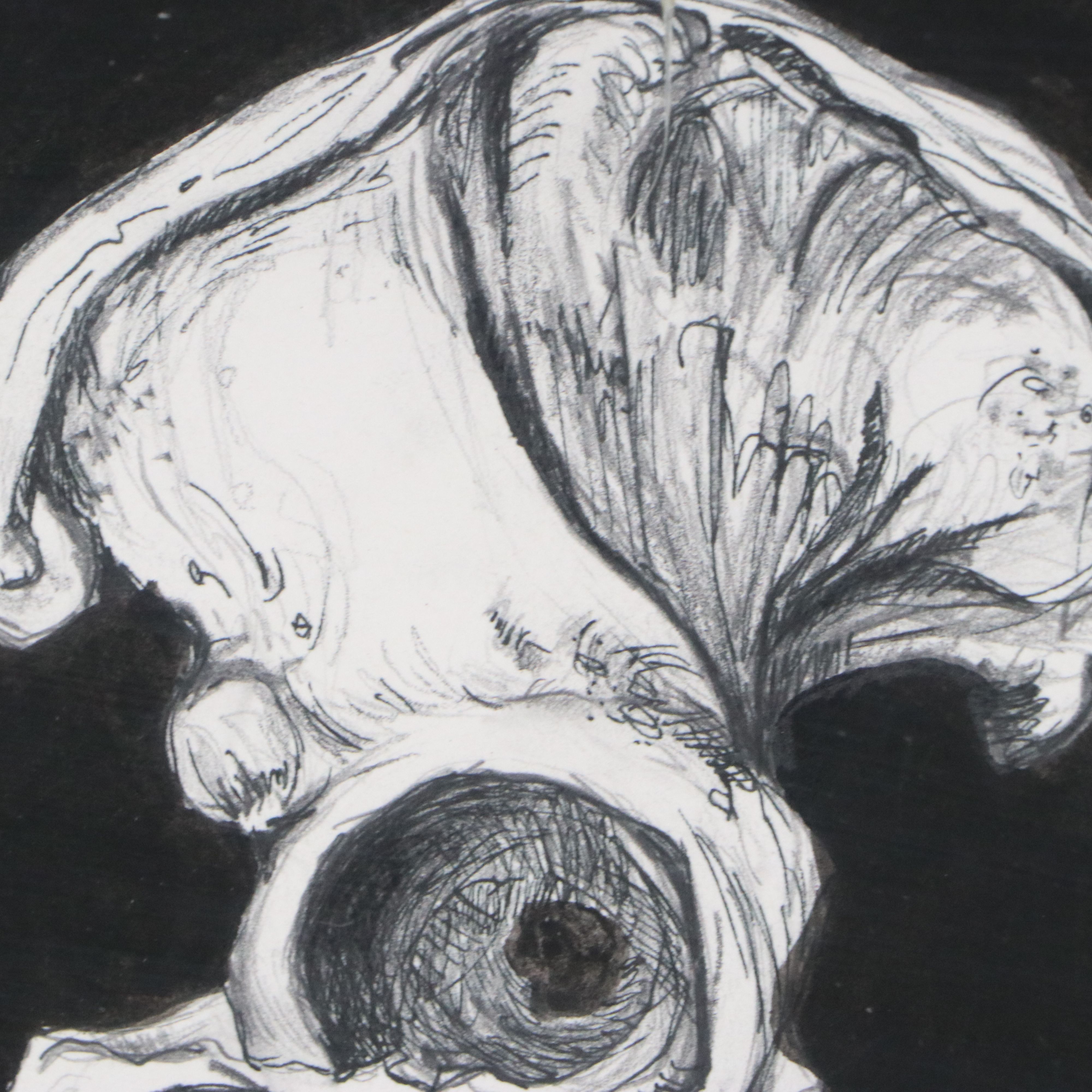 Anatomical Ink and Graphite Drawings of Skeletal Systems, Late 20th to 21st C.