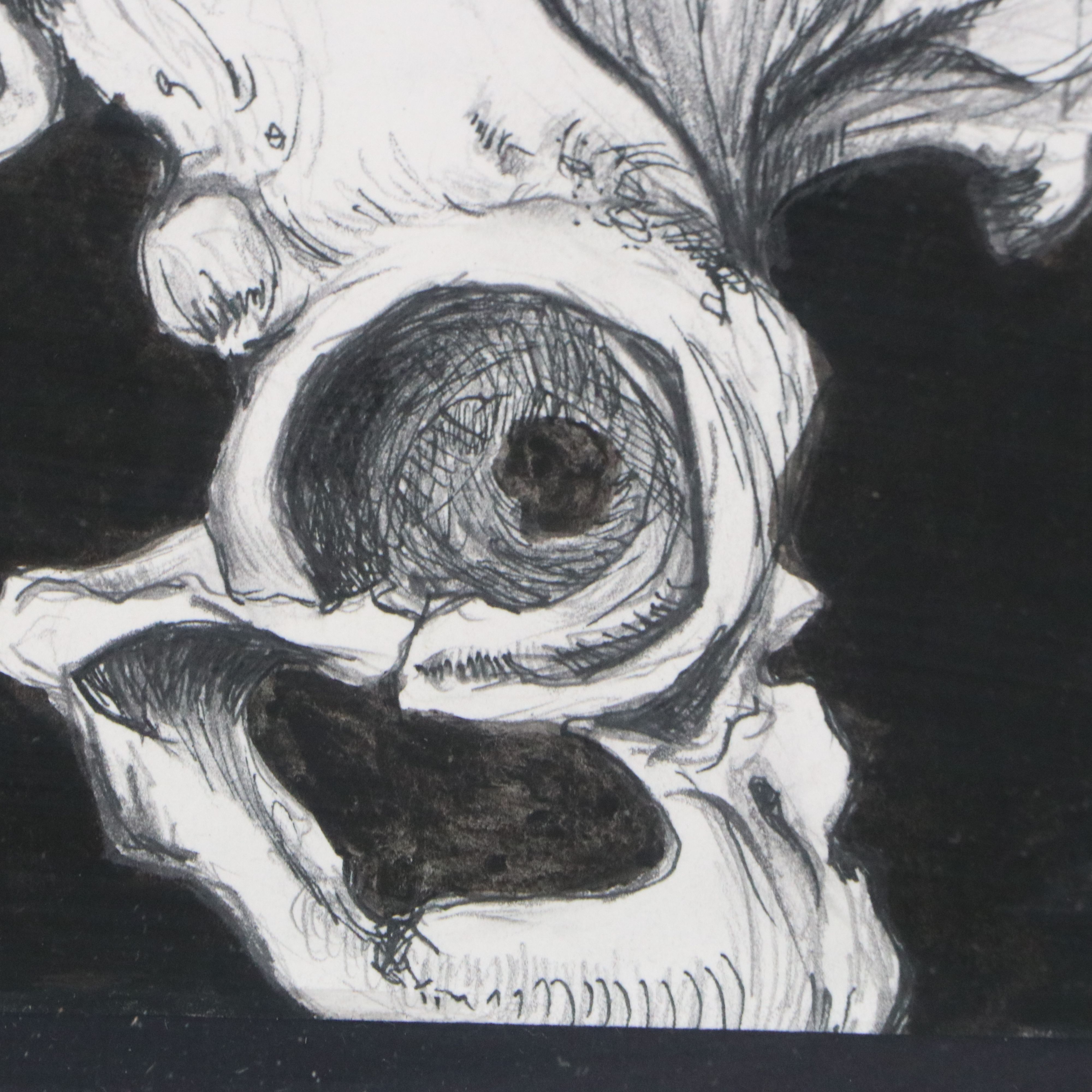 Anatomical Ink and Graphite Drawings of Skeletal Systems, Late 20th to 21st C.