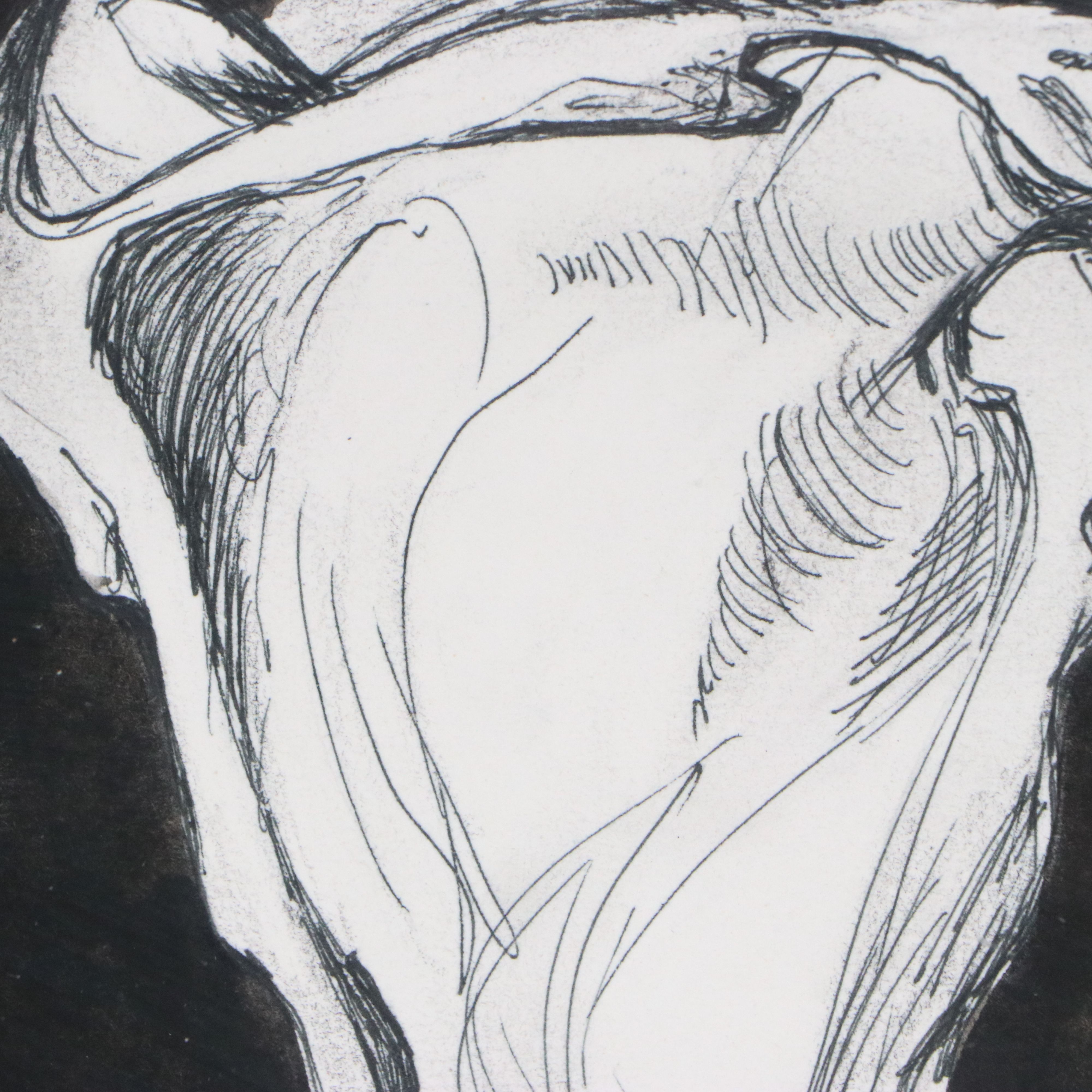 Anatomical Ink and Graphite Drawings of Skeletal Systems, Late 20th to 21st C.