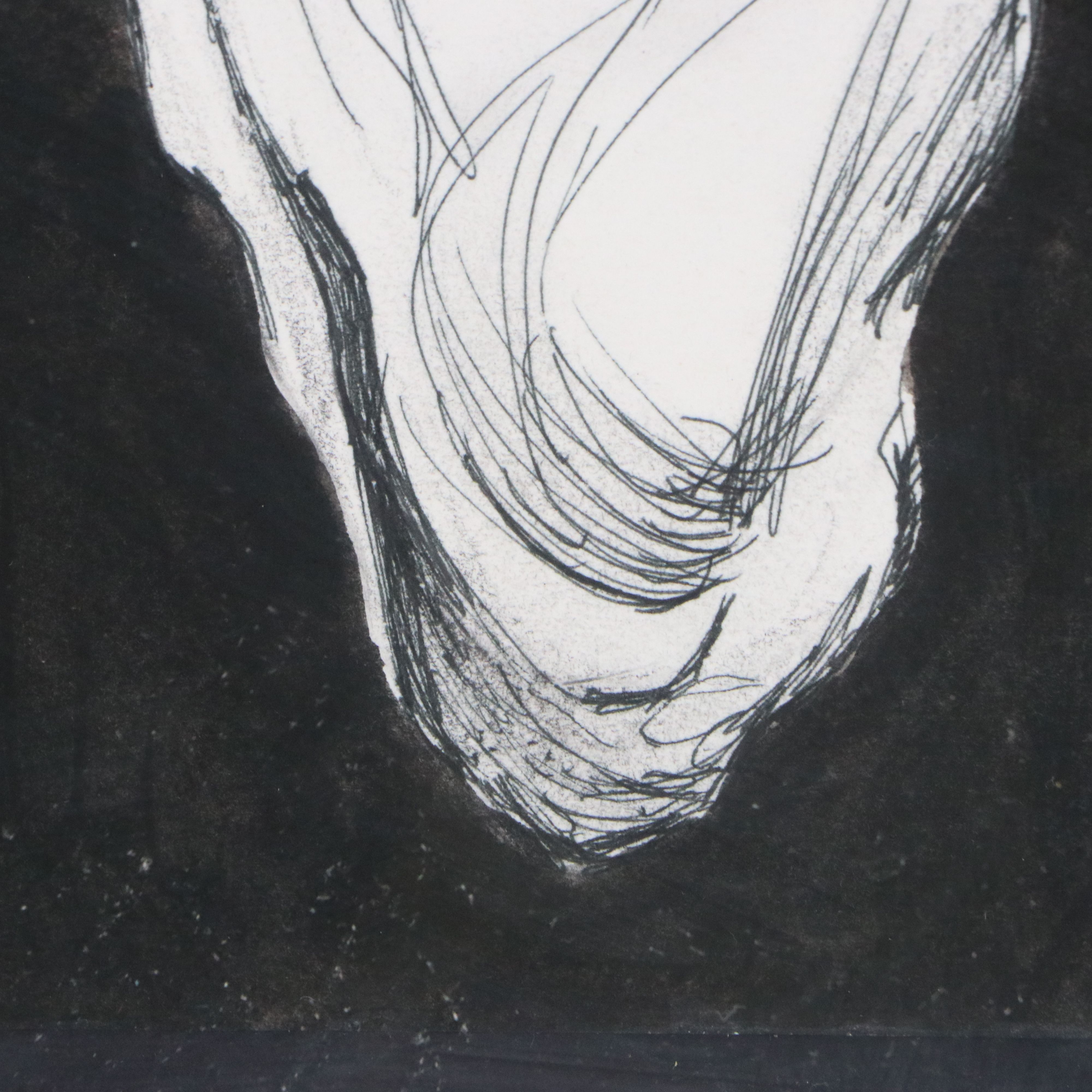 Anatomical Ink and Graphite Drawings of Skeletal Systems, Late 20th to 21st C.