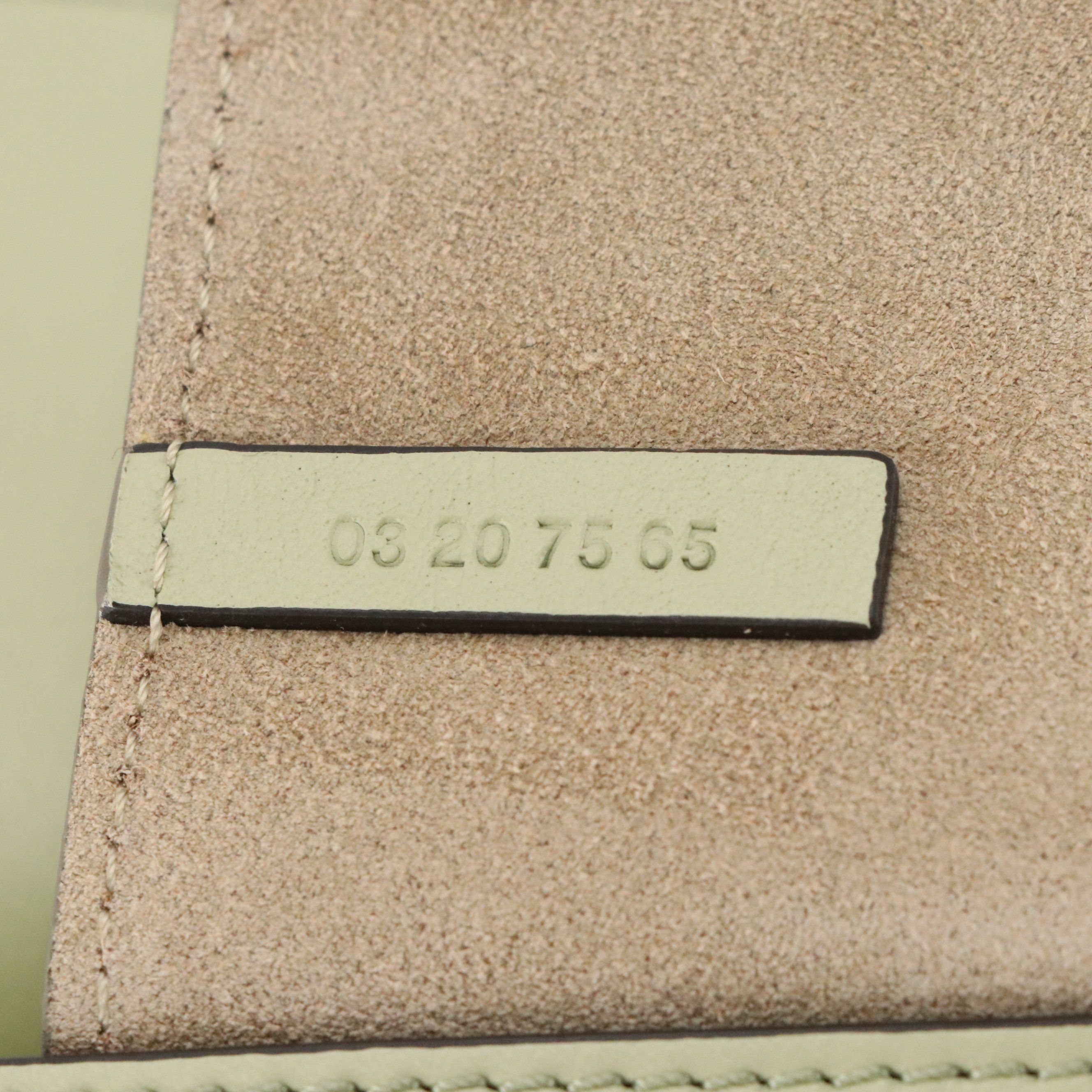 Chloé Faye Crossbody Bag in Pastel Green Calfskin Leather and Suede