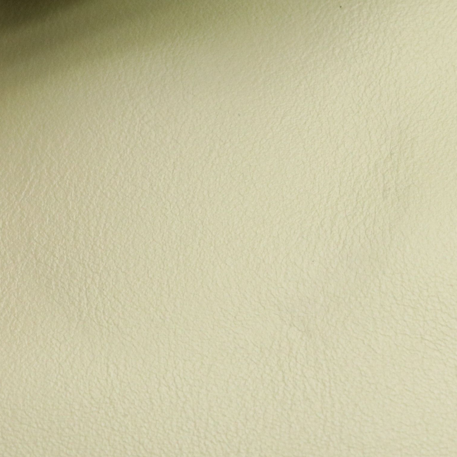 Chloé Faye Crossbody Bag in Pastel Green Calfskin Leather and Suede