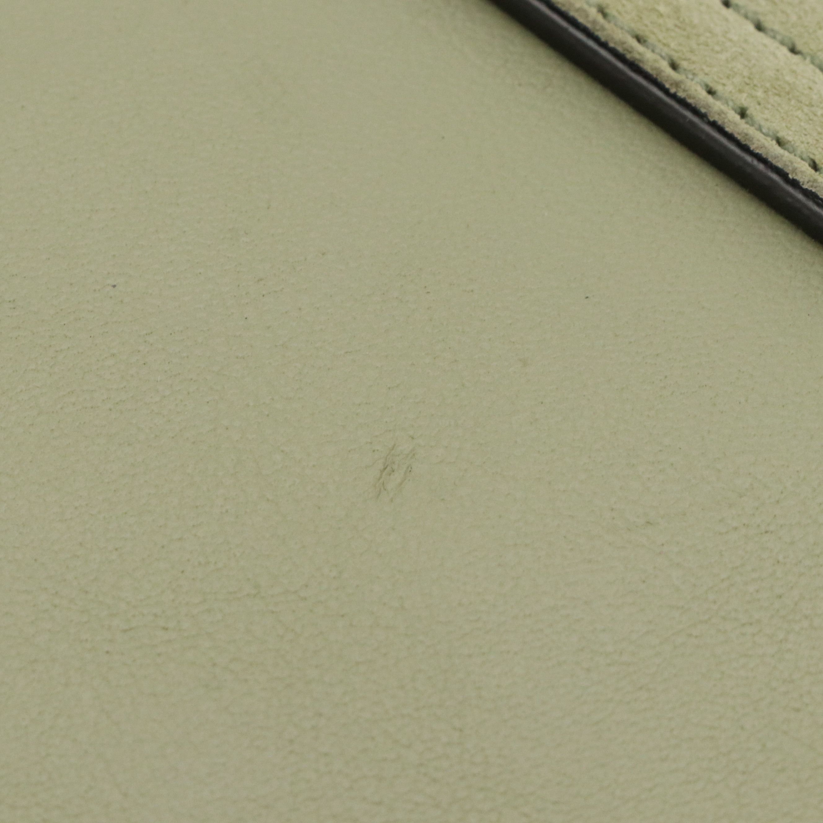 Chloé Faye Crossbody Bag in Pastel Green Calfskin Leather and Suede