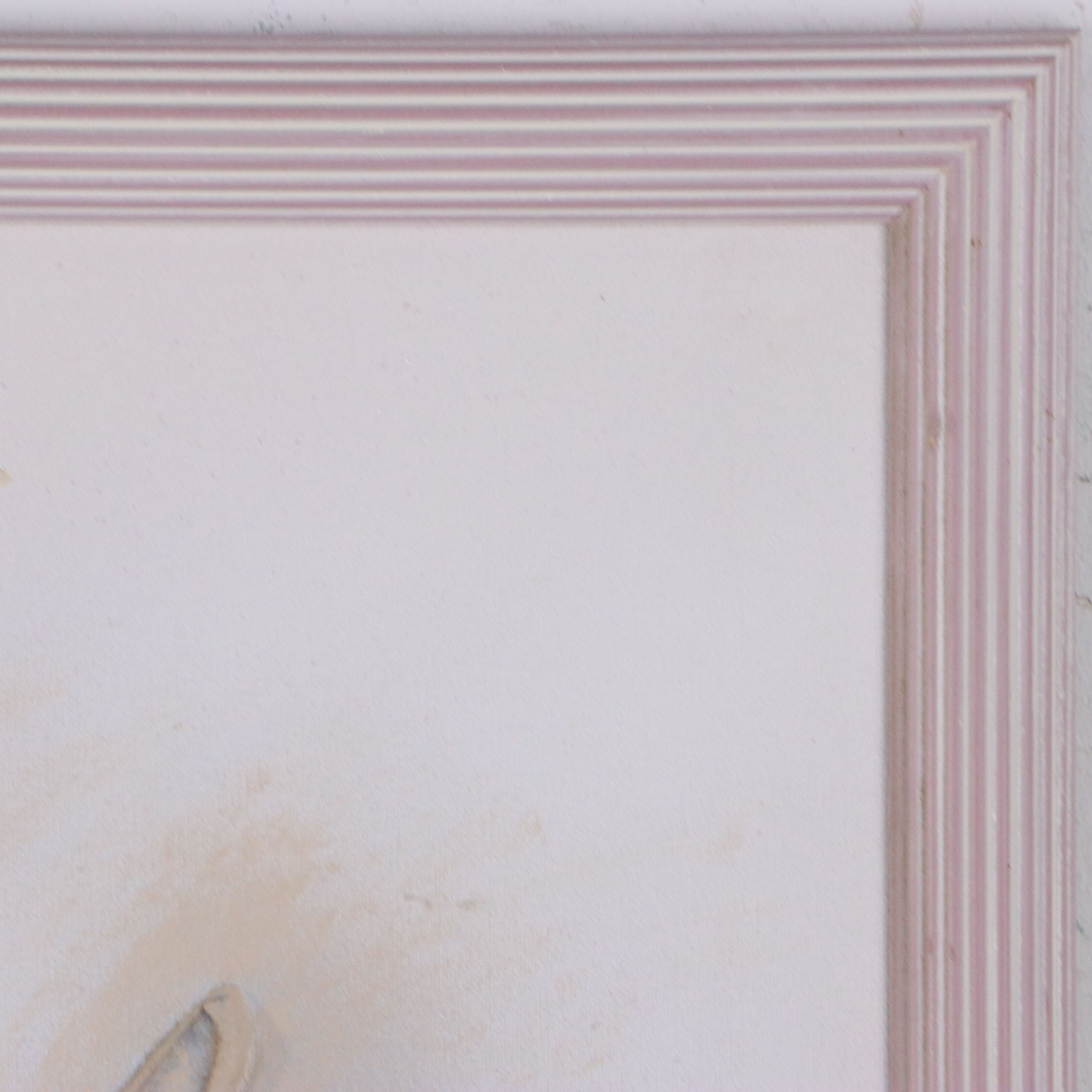 Dimensional Mixed Wall Art with Seashell Assemblage, Mid to Late 20th Century