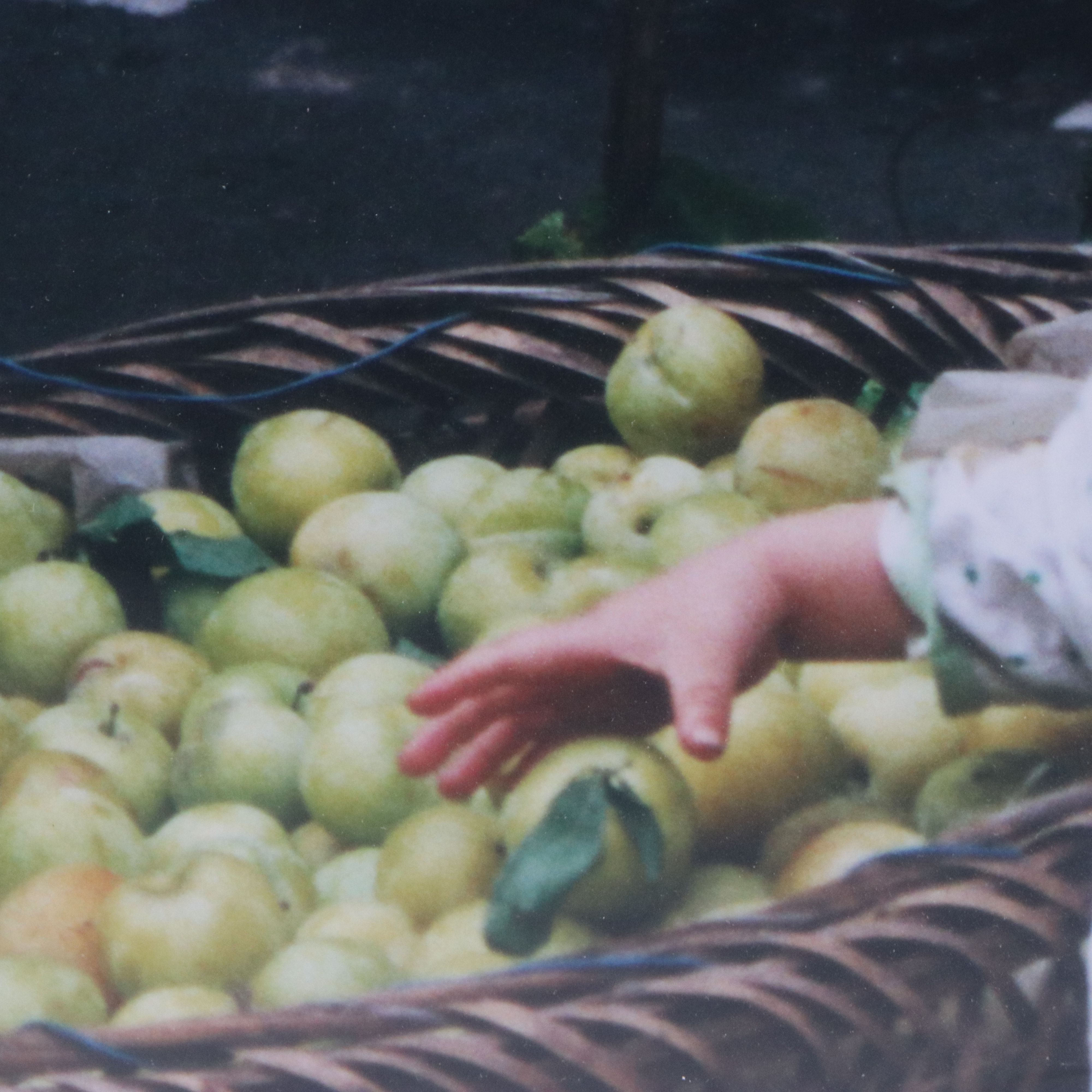 Alan M. Fallick Chromogenic Travel Photographs of France and China, 1999 - 2003