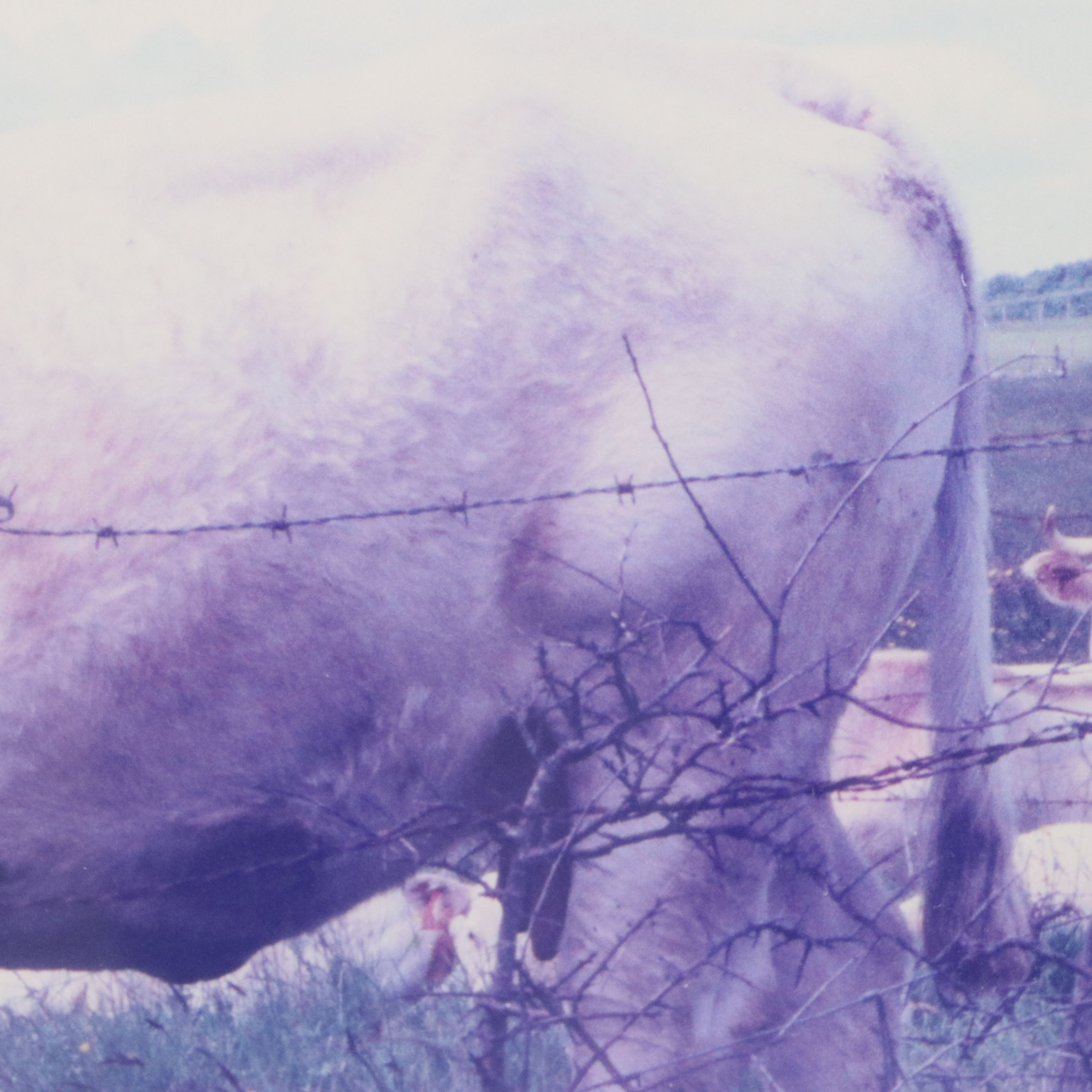 Alan M. Fallick Chromogenic Travel Photographs of France and China, 1999 - 2003