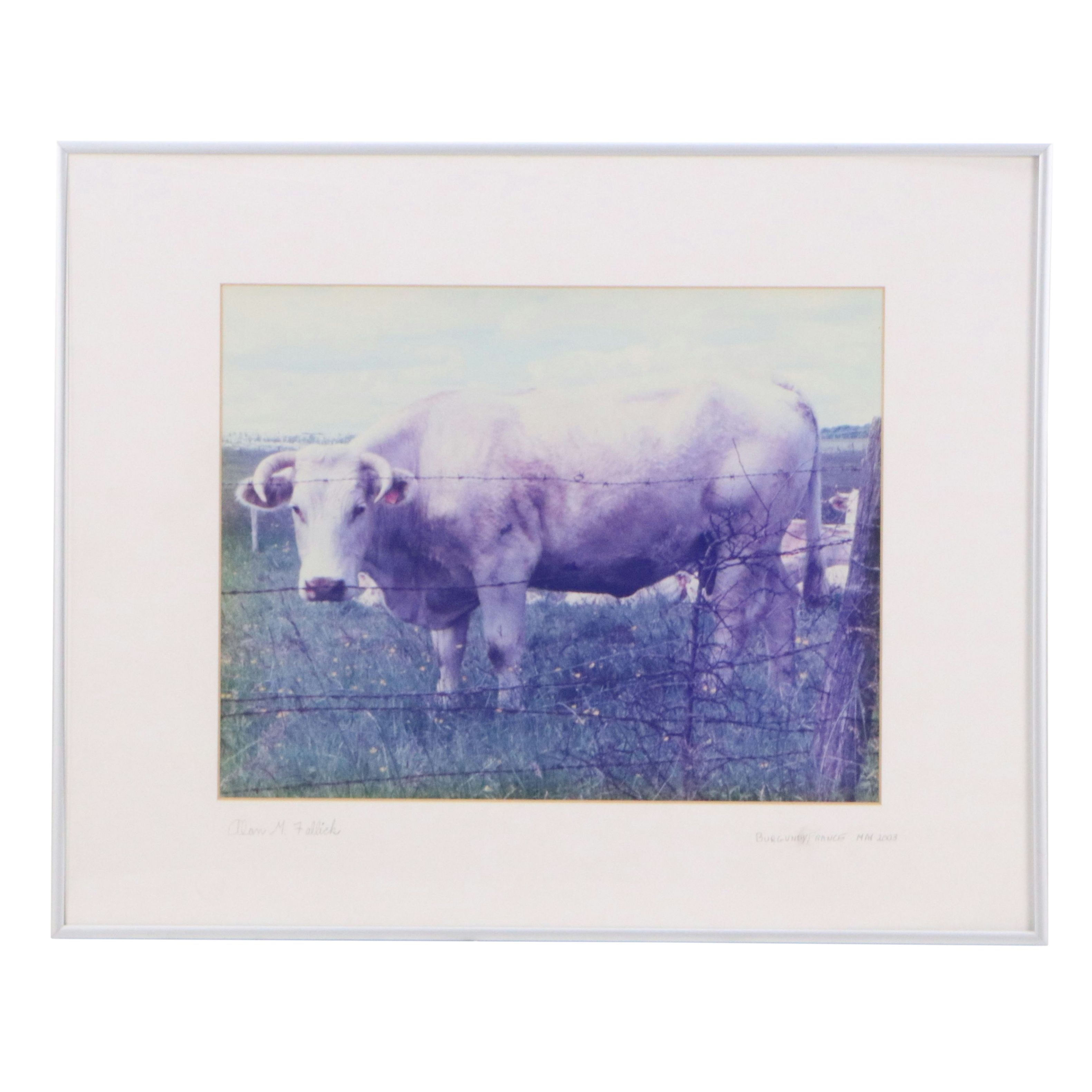 Alan M. Fallick Chromogenic Travel Photographs of France and China, 1999 - 2003