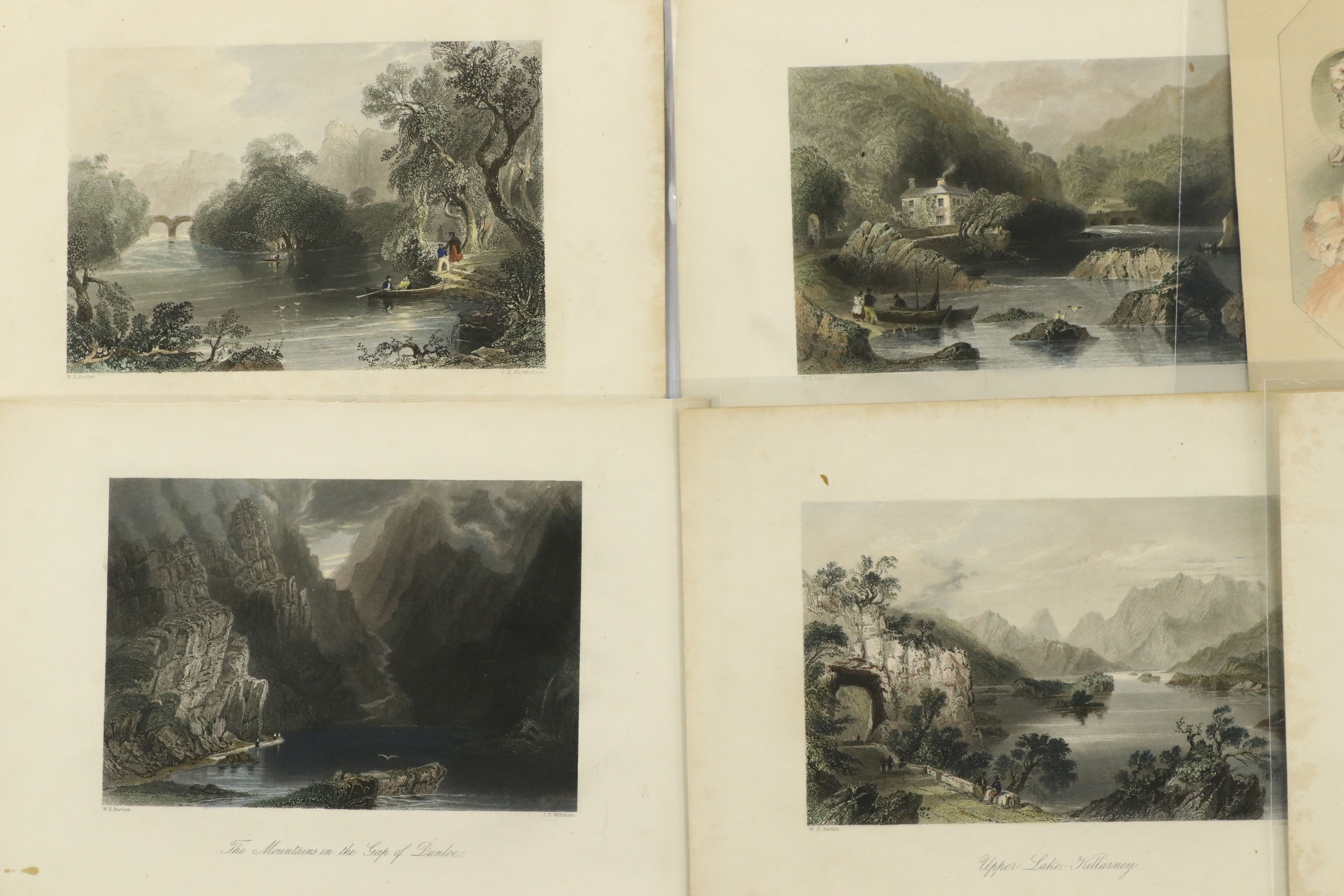 D. Appleton & Company Book Plates with Advertisements, Certificate and More