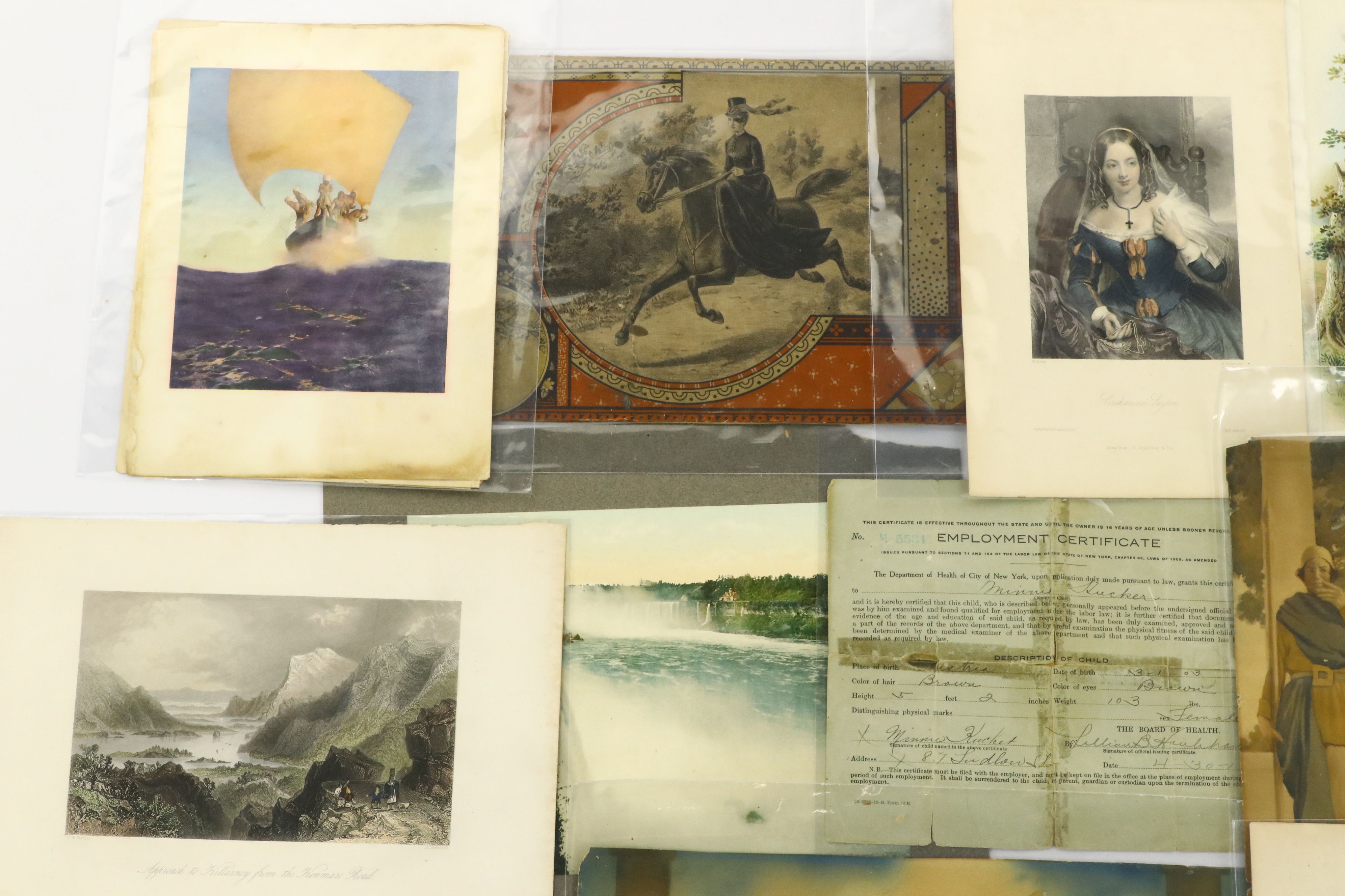 D. Appleton & Company Book Plates with Advertisements, Certificate and More