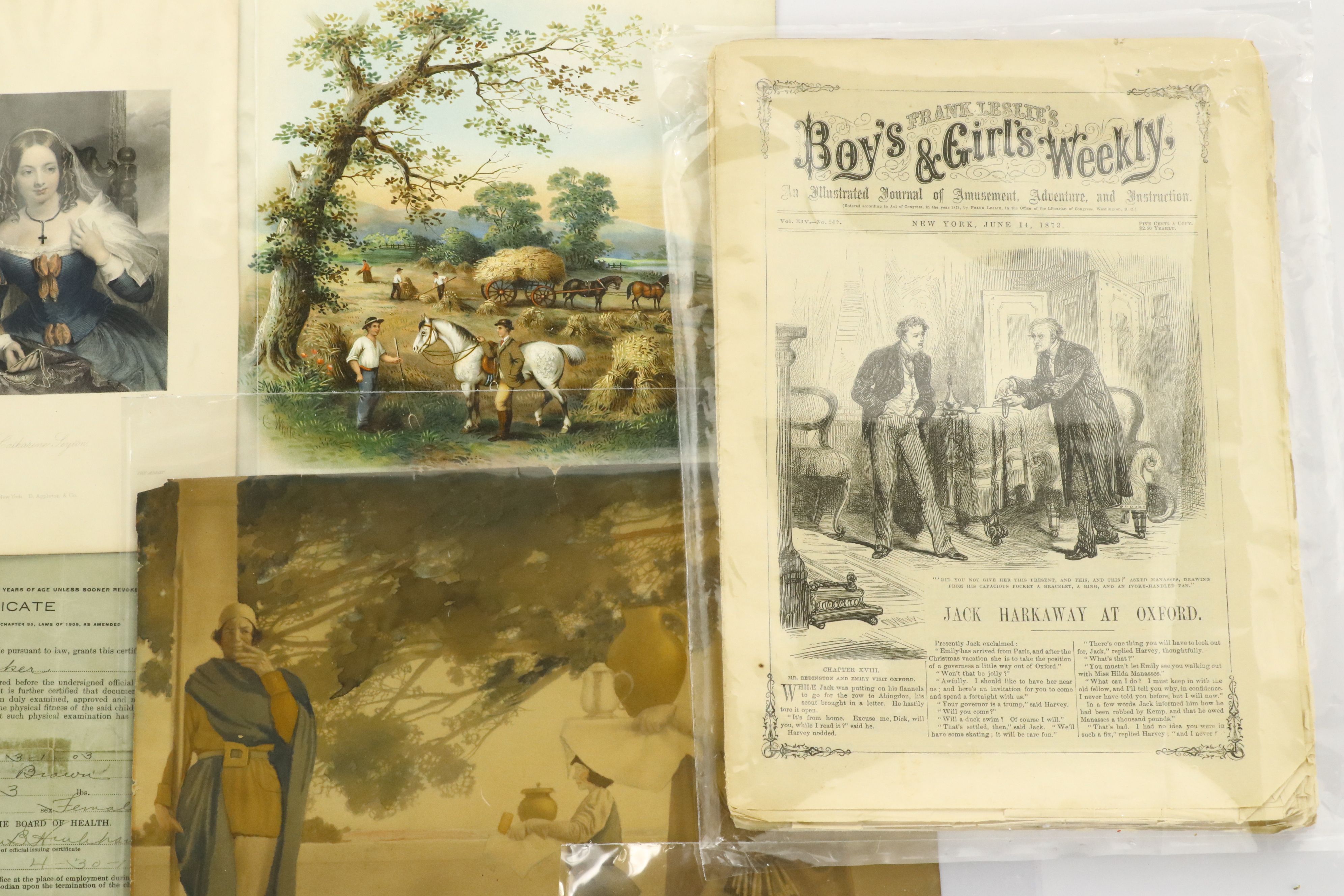 D. Appleton & Company Book Plates with Advertisements, Certificate and More