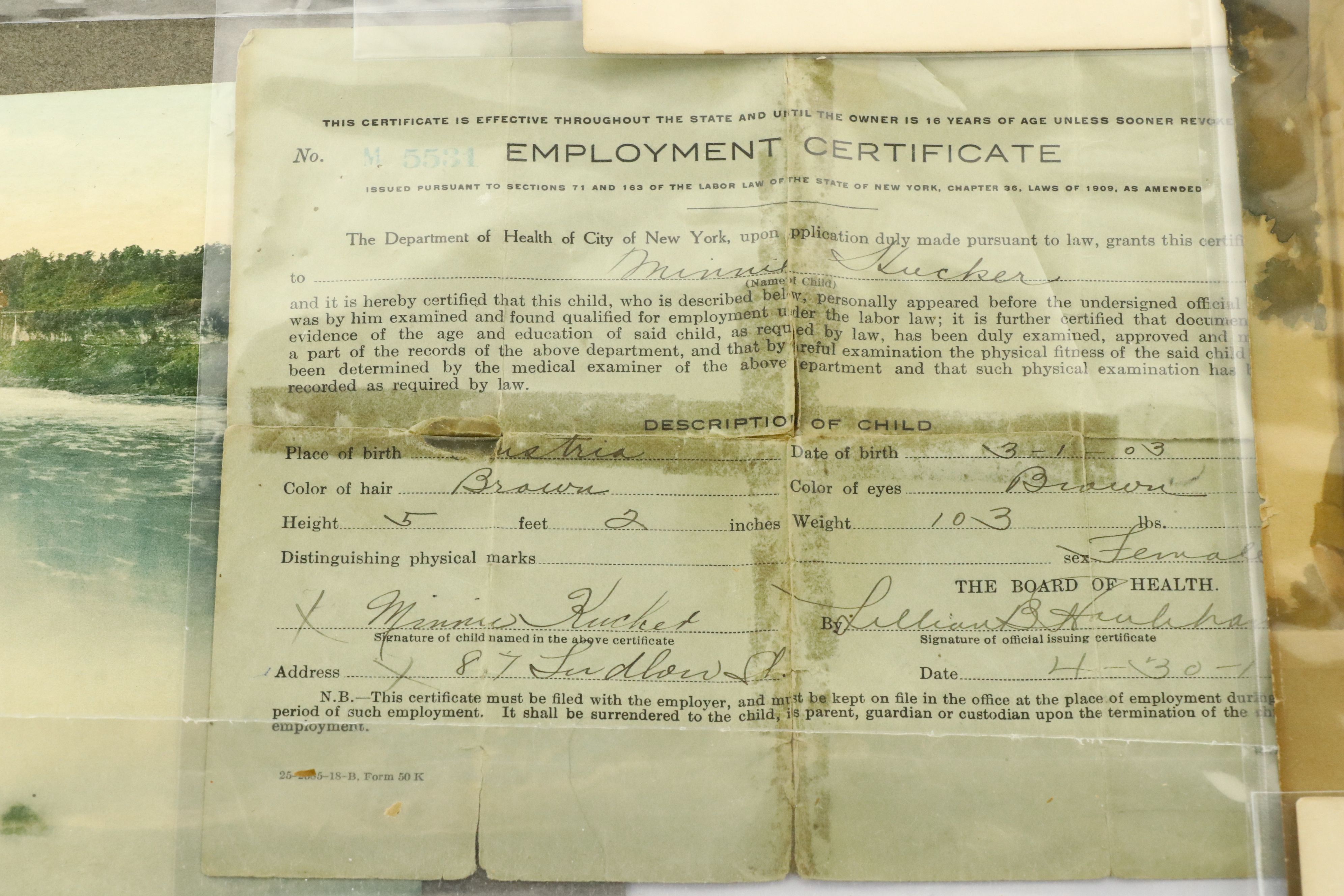 D. Appleton & Company Book Plates with Advertisements, Certificate and More