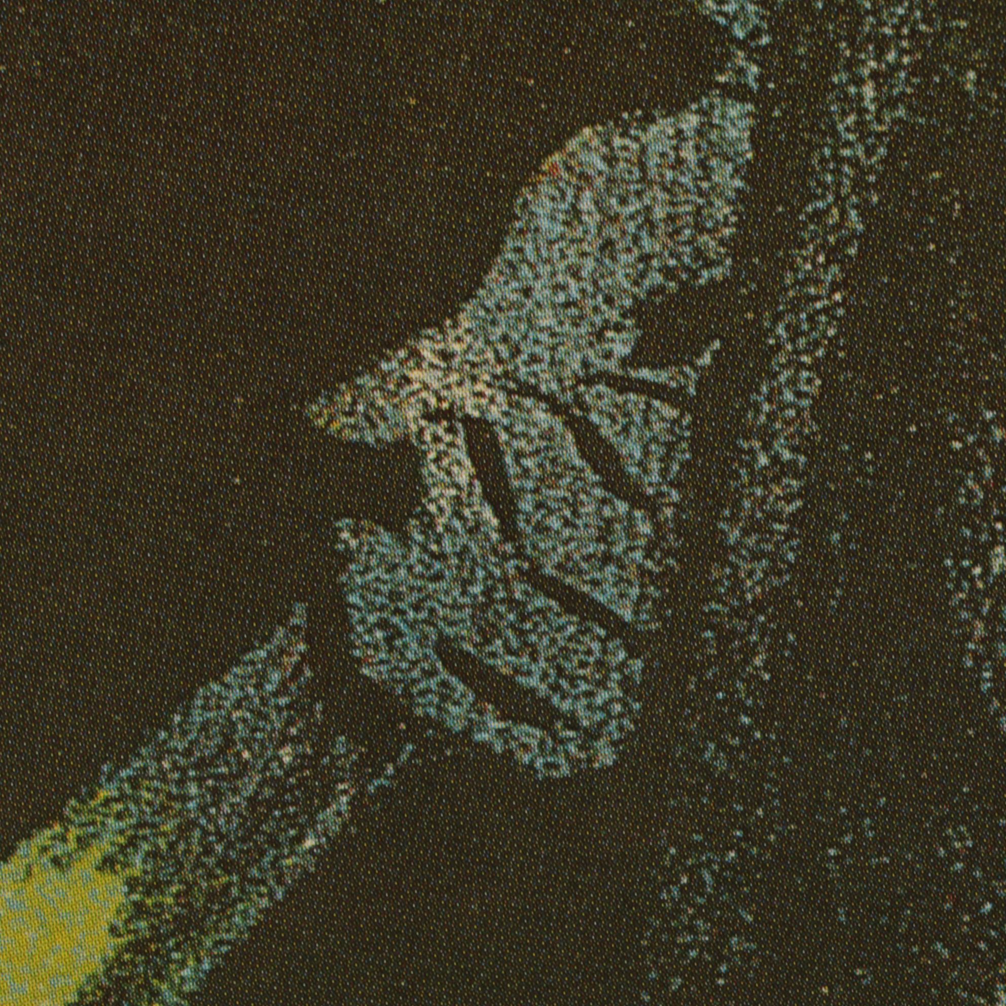 Offset Lithograph Movie Poster for Charlie Chaplin's "Le Gosse (The Kid)"