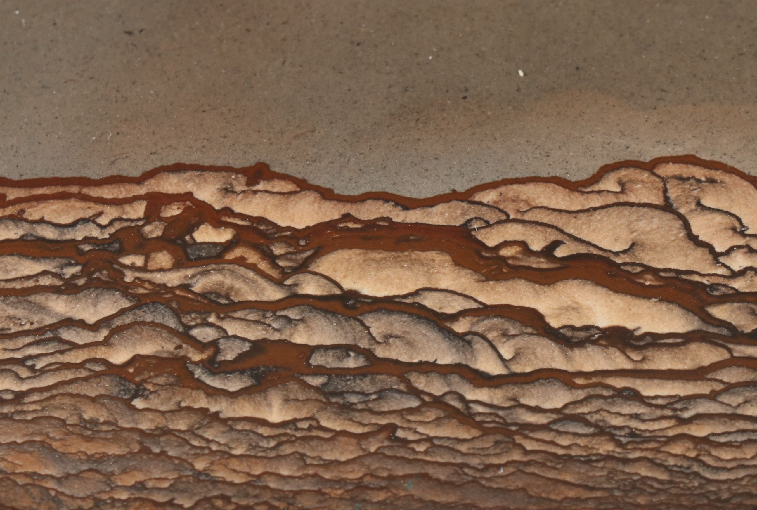 Southwestern Style Silver Plate with Jasper Pendant Belt Buckle