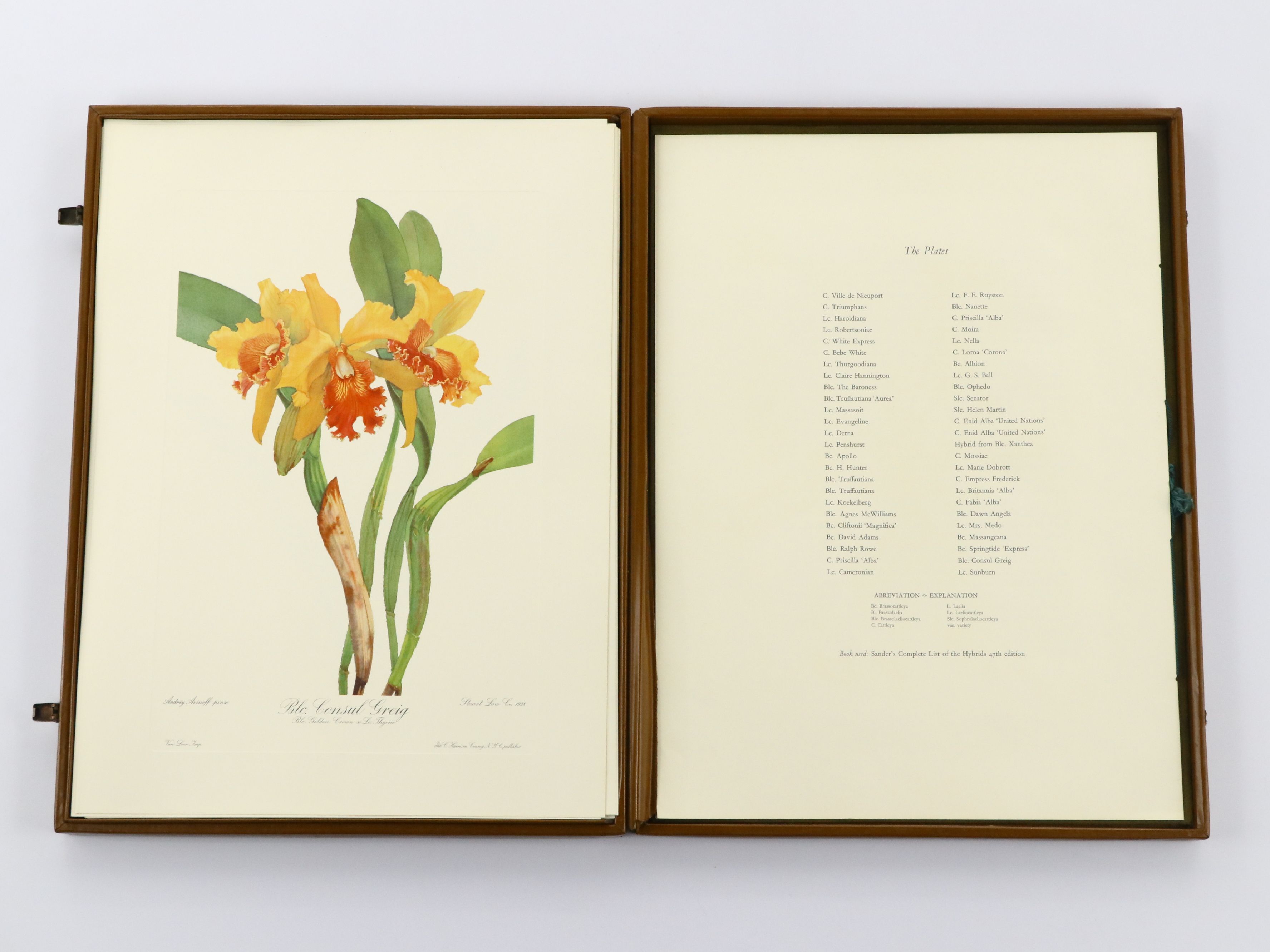 Portfolio of Offset Lithographs "Andrey Avinoff's Portraits of Orchids," 1960