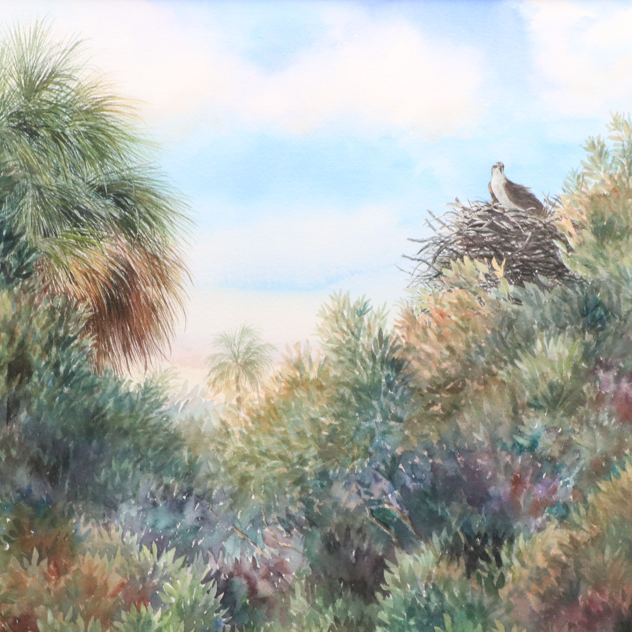 Emily James Watercolor Painting of Ibises in Marsh