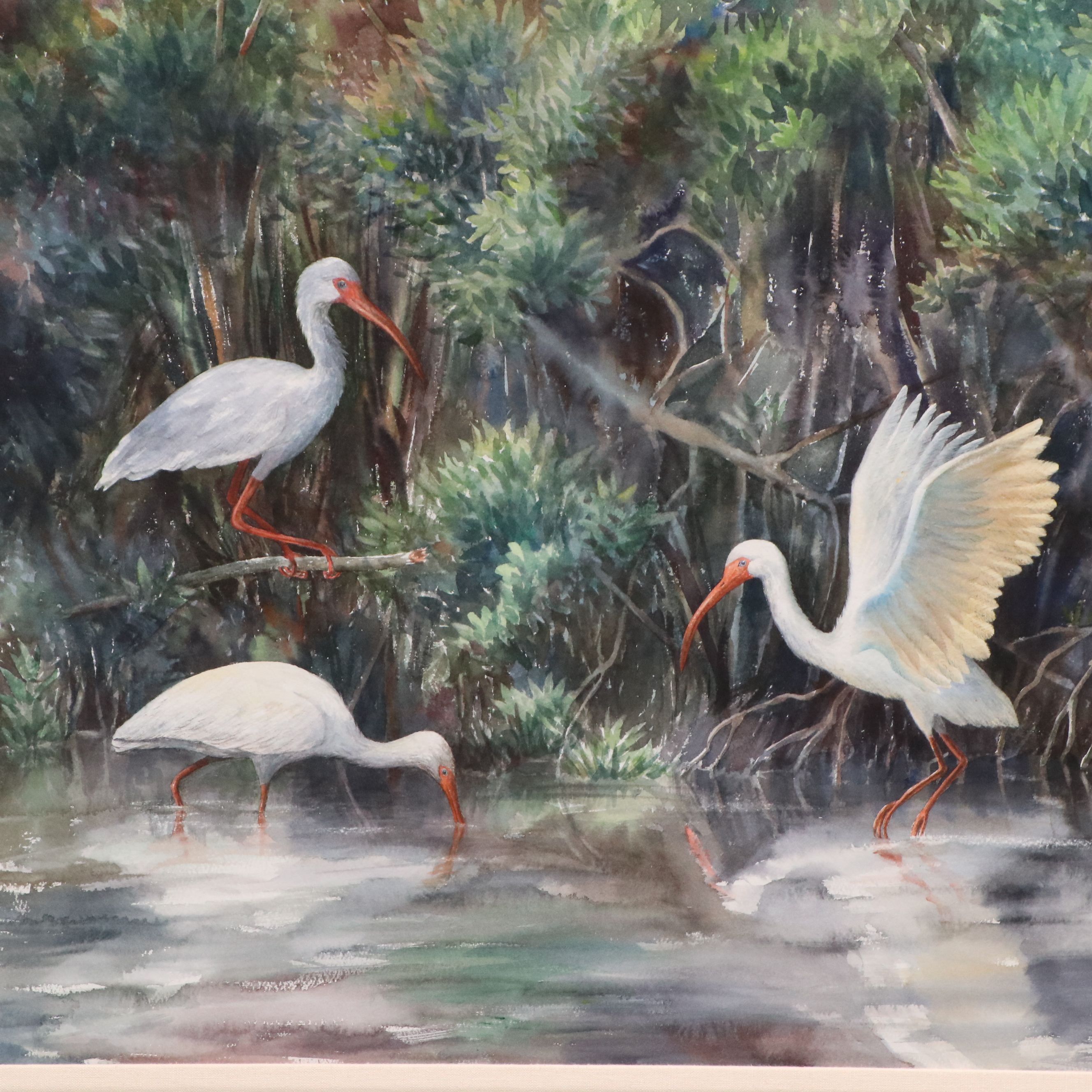 Emily James Watercolor Painting of Ibises in Marsh