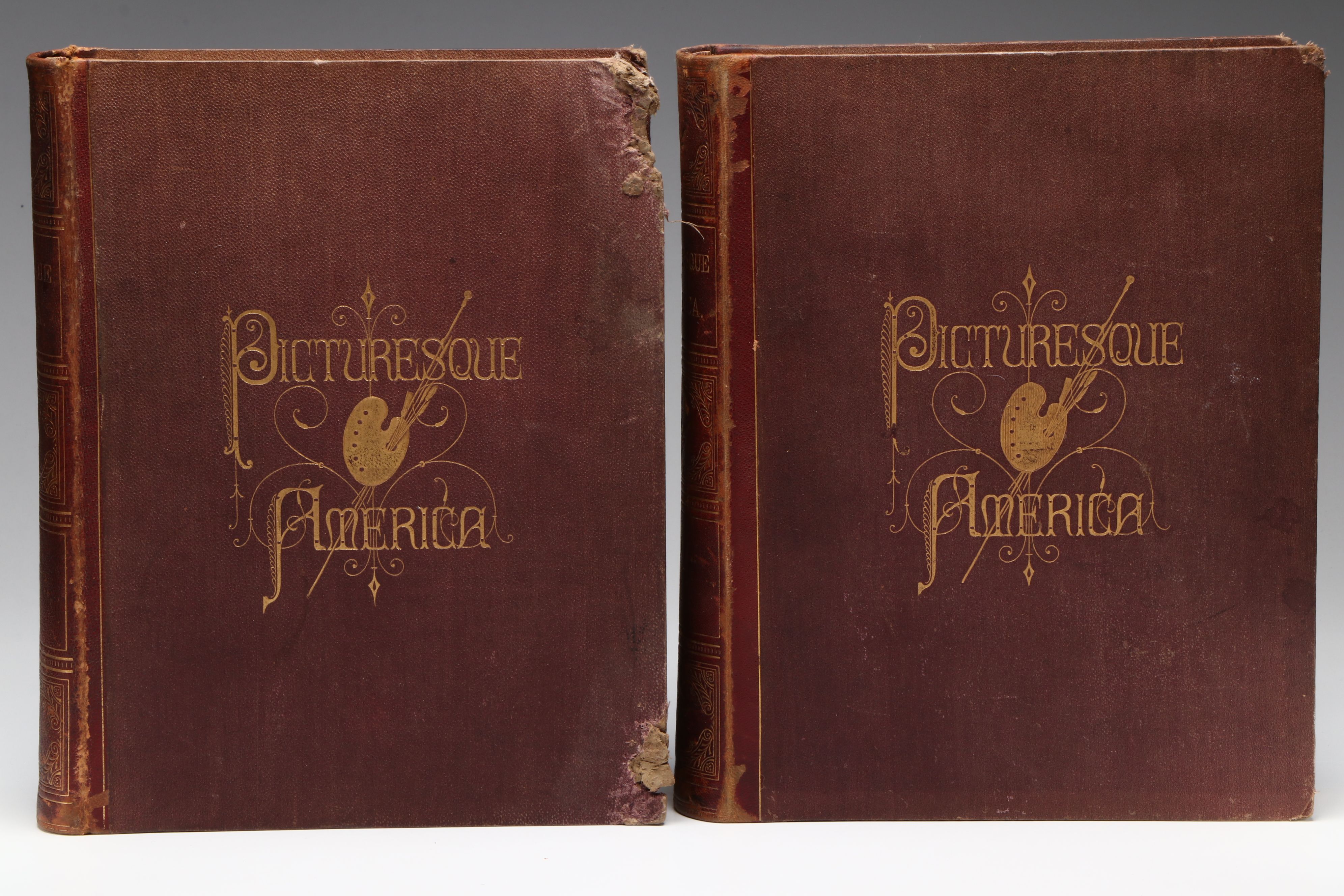 Illustrated "Picturesque America; or, The Land We Live In" Two-Volume Set