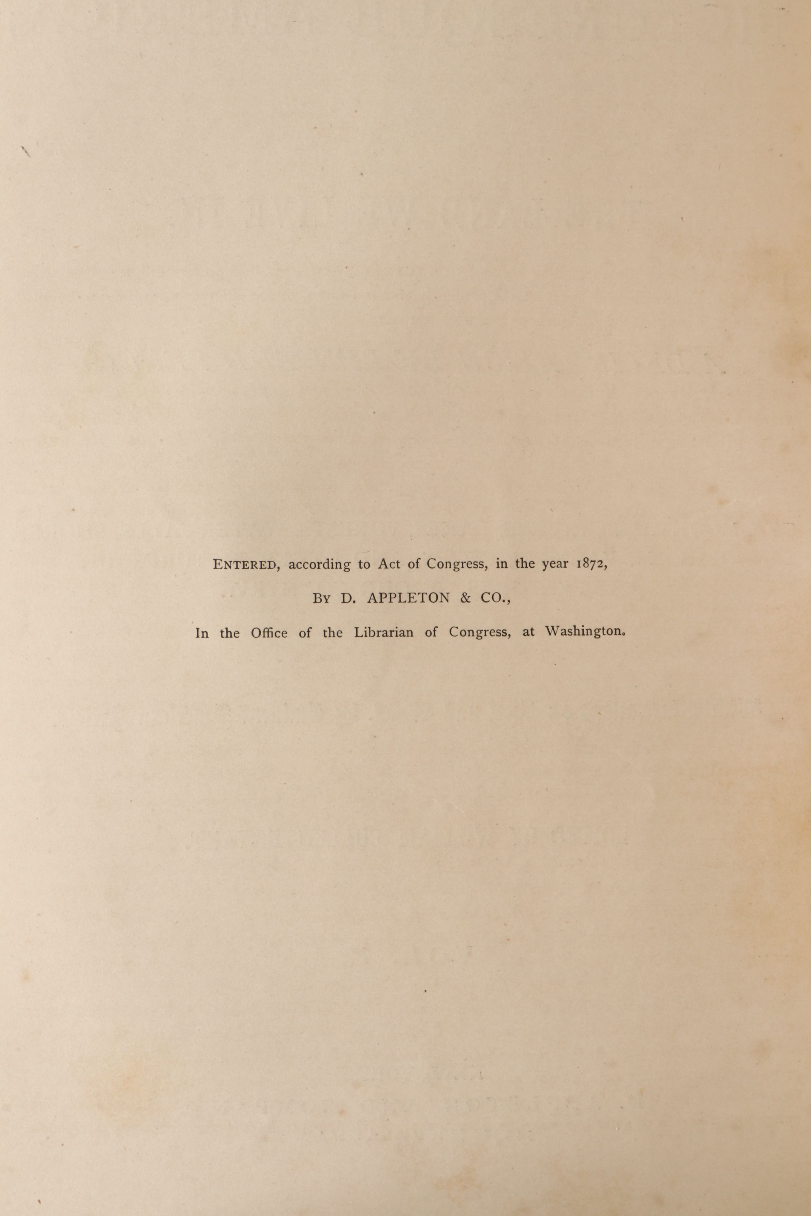 Illustrated "Picturesque America; or, The Land We Live In" Two-Volume Set