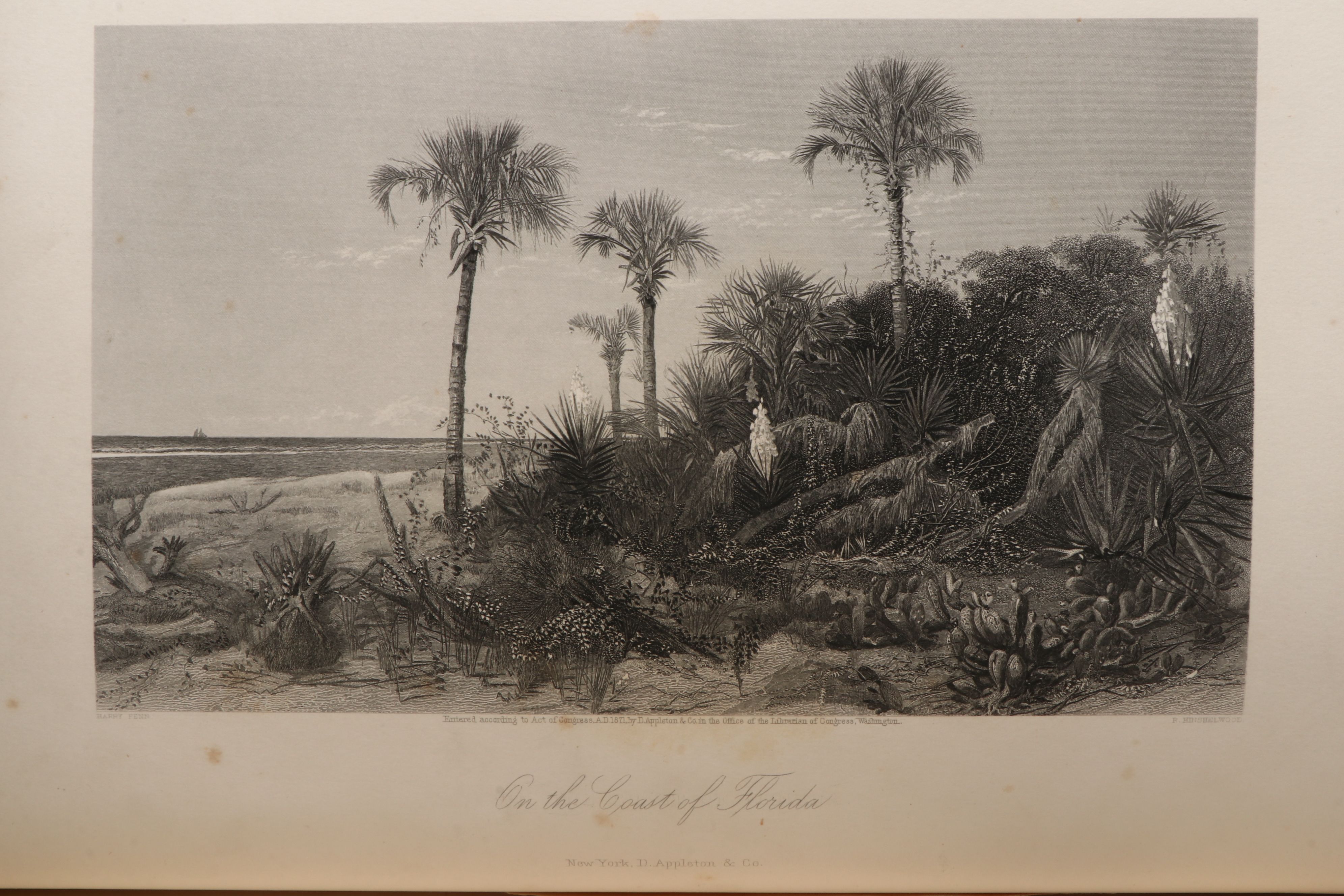 Illustrated "Picturesque America; or, The Land We Live In" Two-Volume Set