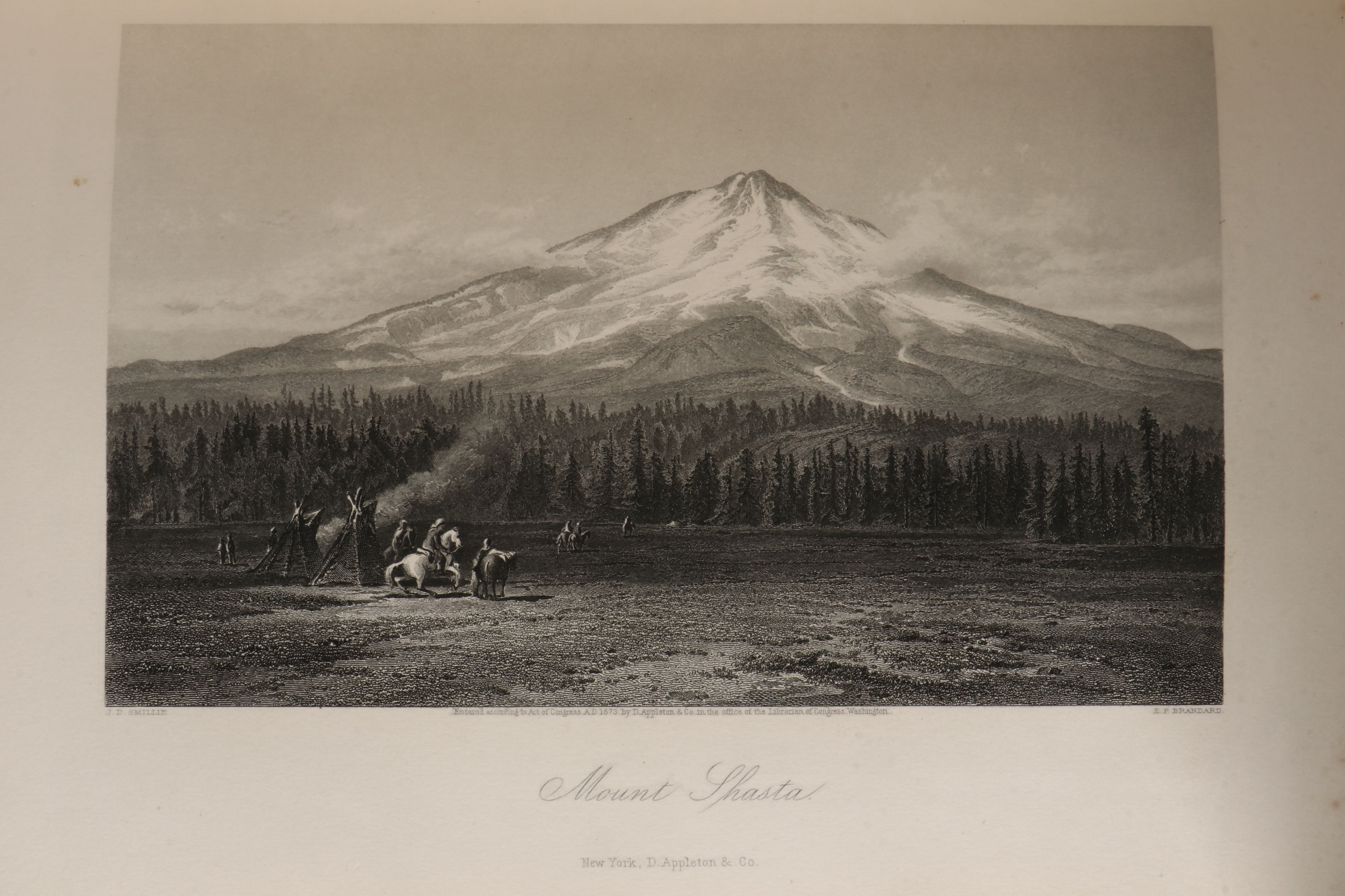 Illustrated "Picturesque America; or, The Land We Live In" Two-Volume Set