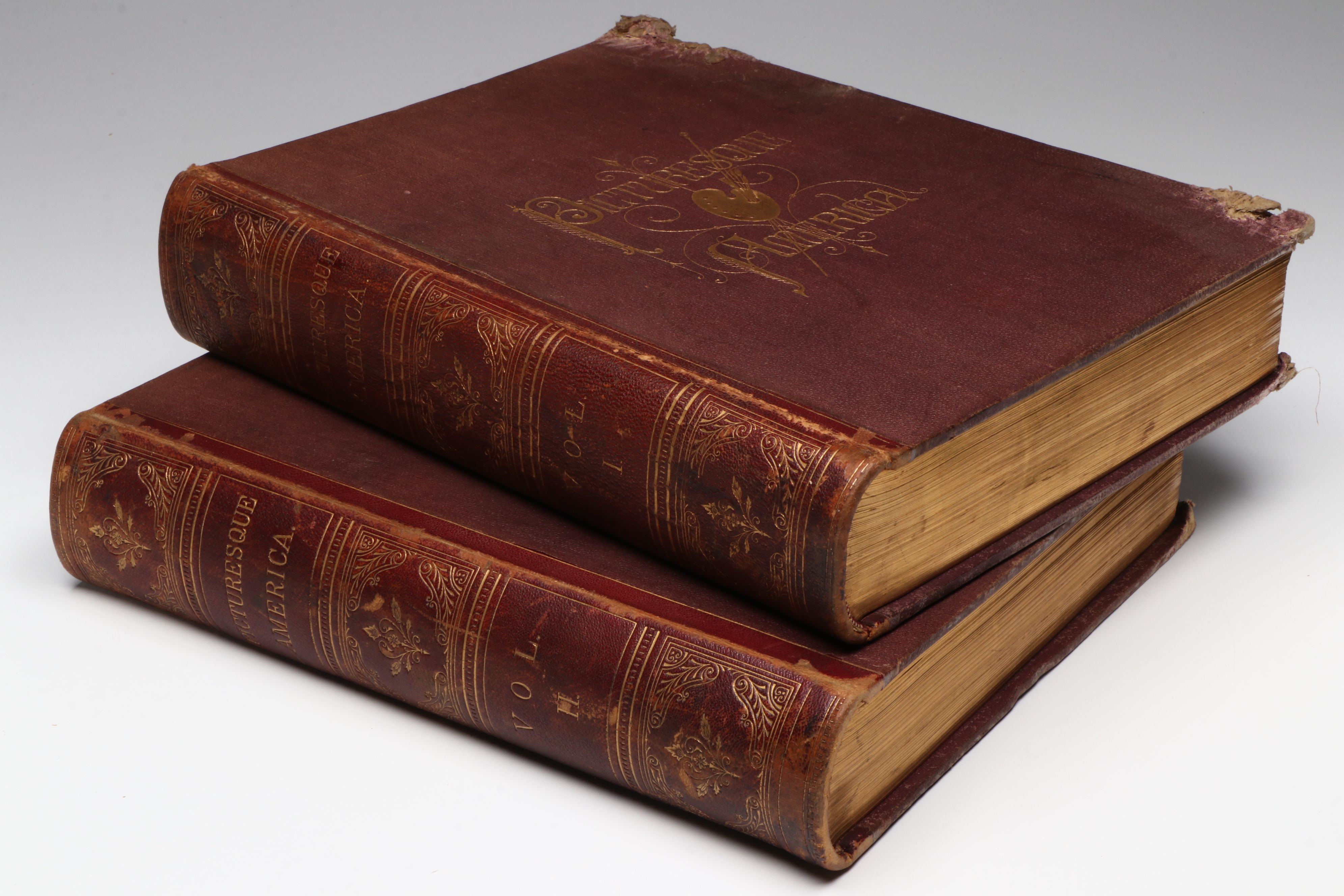 Illustrated "Picturesque America; or, The Land We Live In" Two-Volume Set