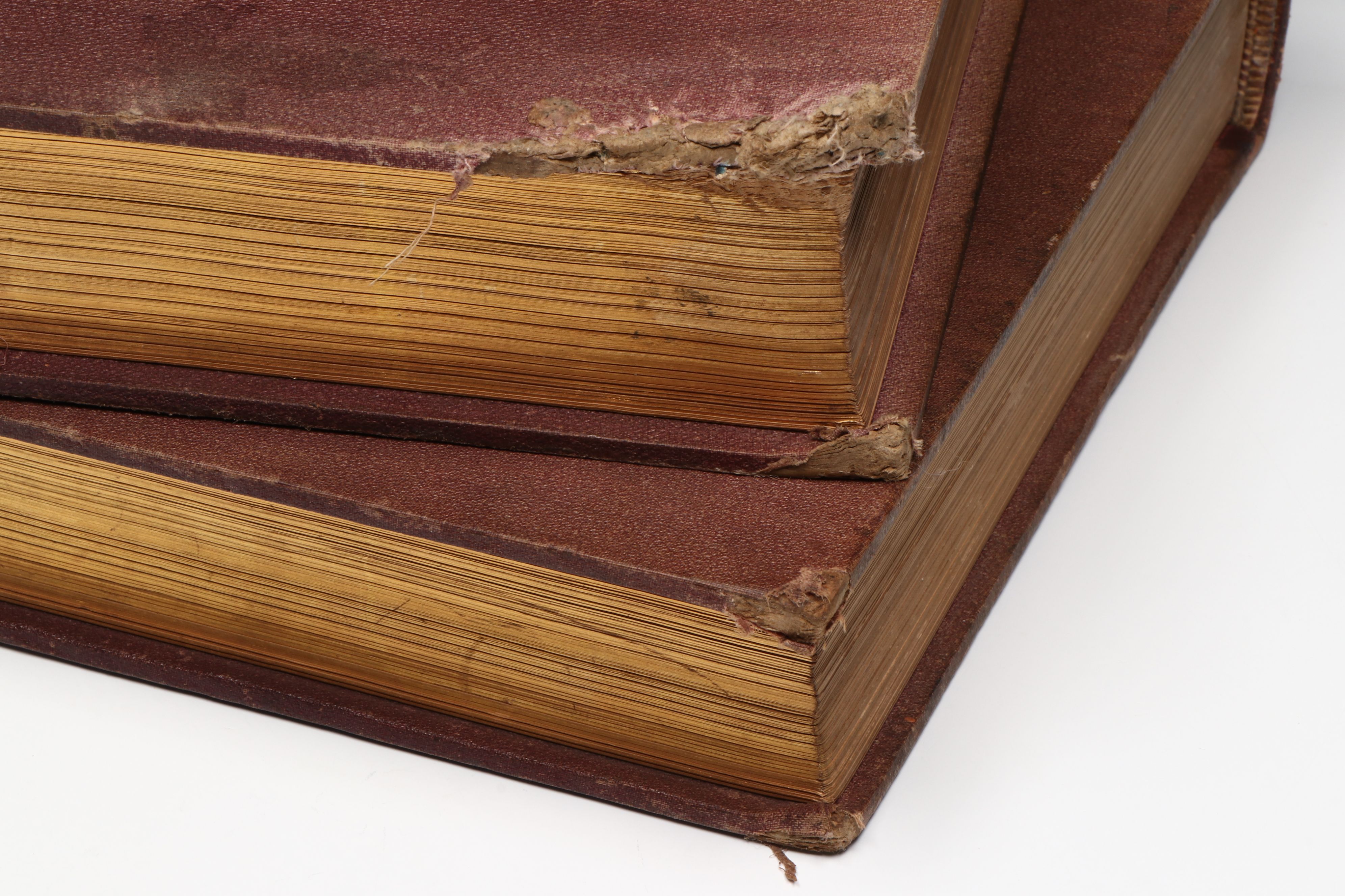 Illustrated "Picturesque America; or, The Land We Live In" Two-Volume Set