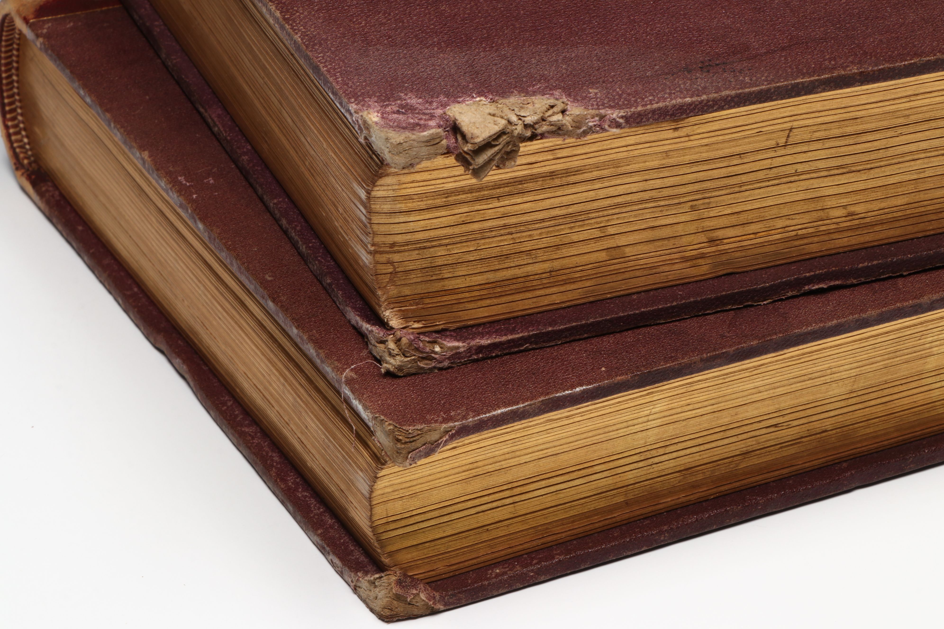 Illustrated "Picturesque America; or, The Land We Live In" Two-Volume Set