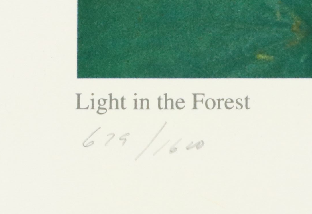 Richard H. Binstadt Color Landscape Print "Light in the Forest," 1993