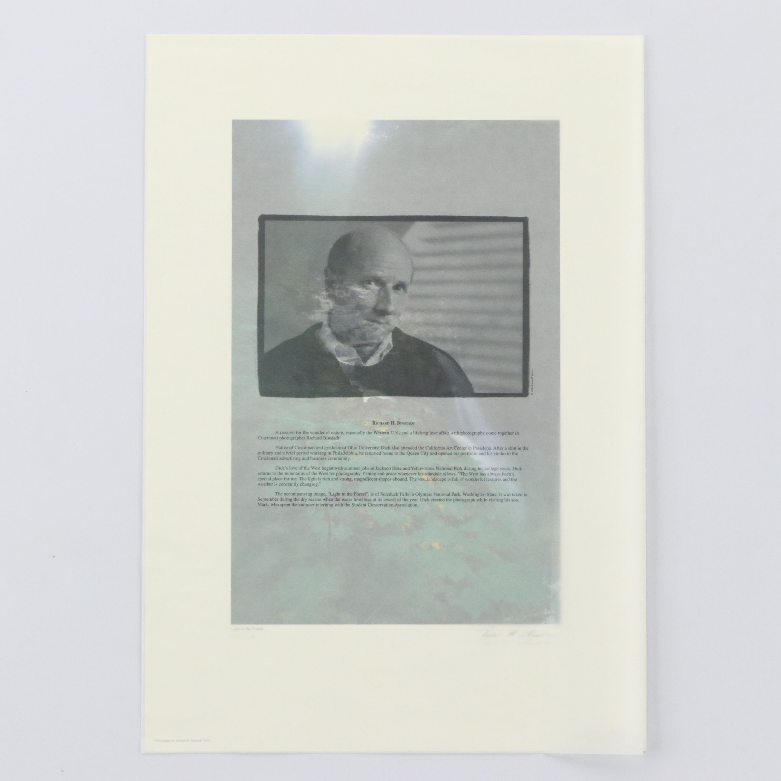 Richard H. Binstadt Color Landscape Print "Light in the Forest," 1993