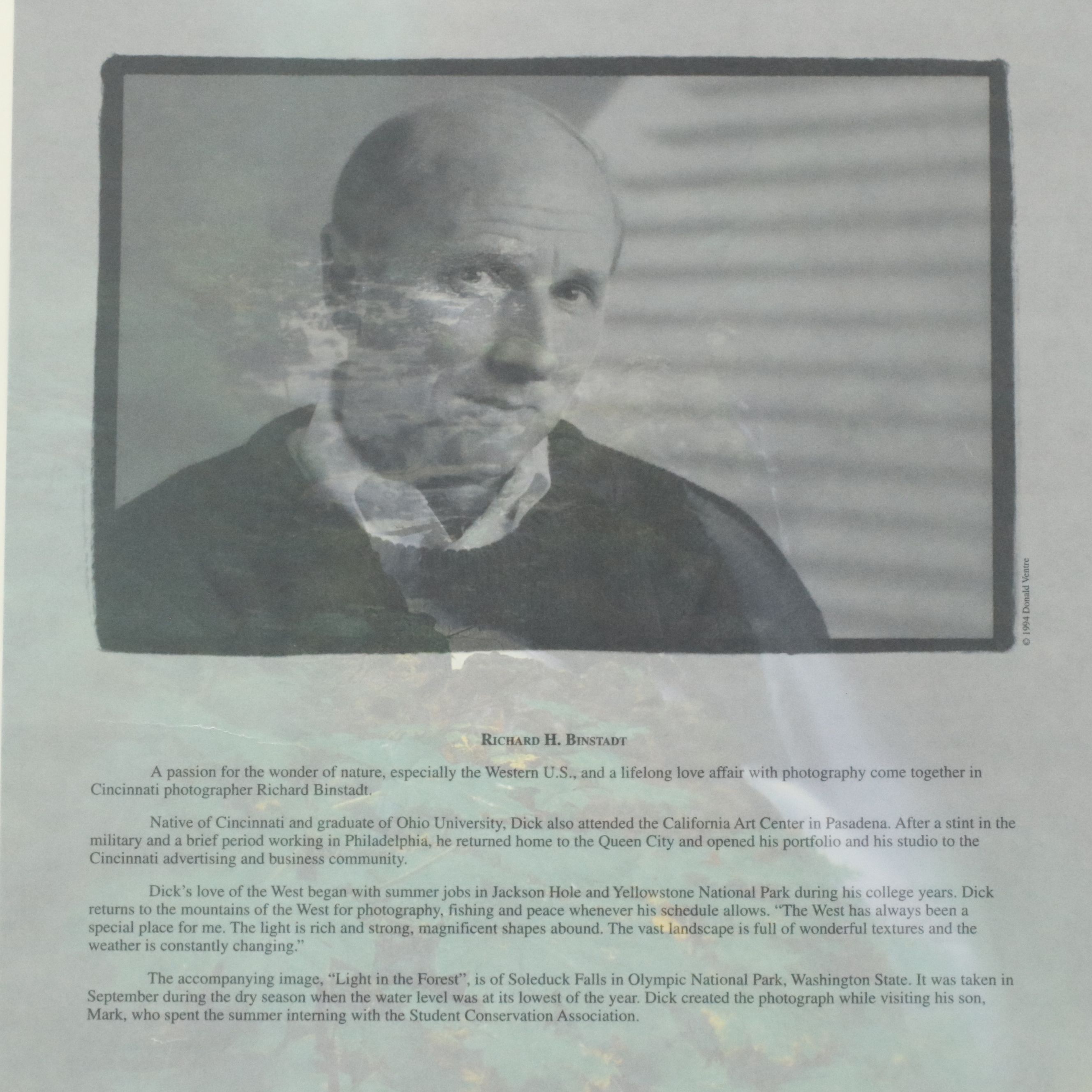 Richard H. Binstadt Color Landscape Print "Light in the Forest," 1993