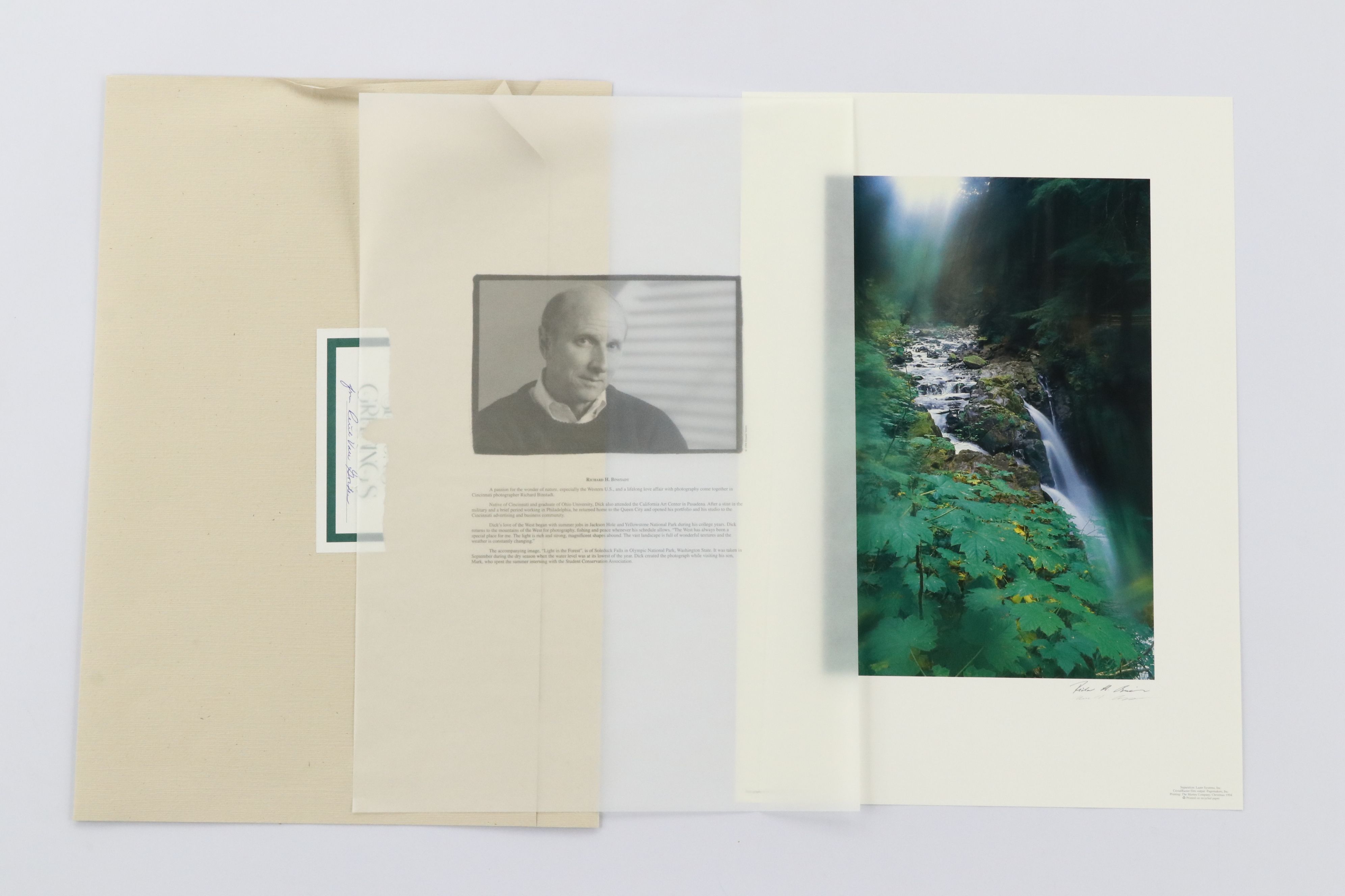 Richard H. Binstadt Color Landscape Print "Light in the Forest," 1993