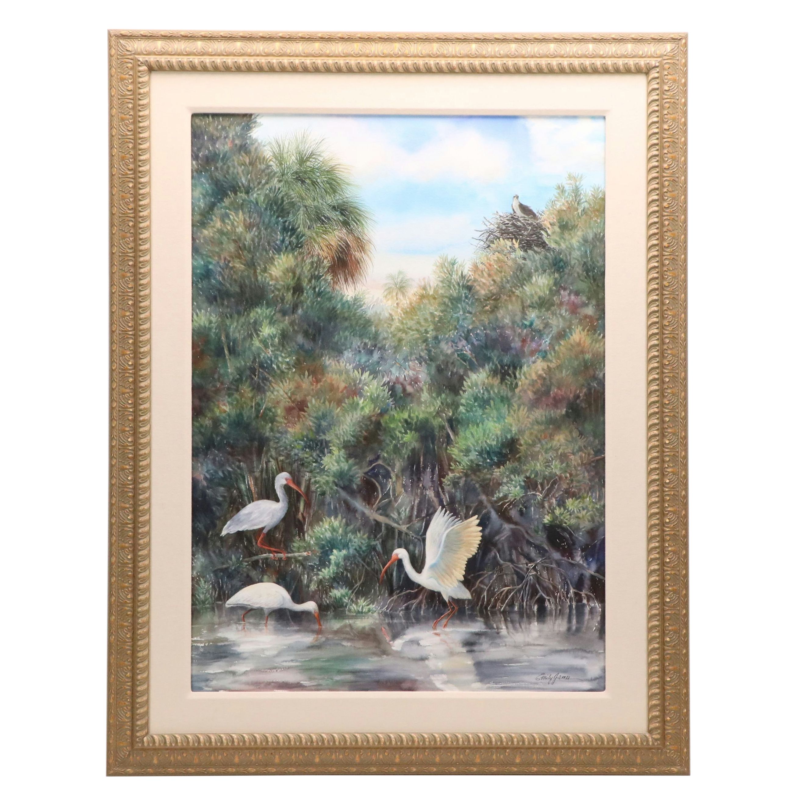 Emily James Watercolor Painting of Ibises in Marsh