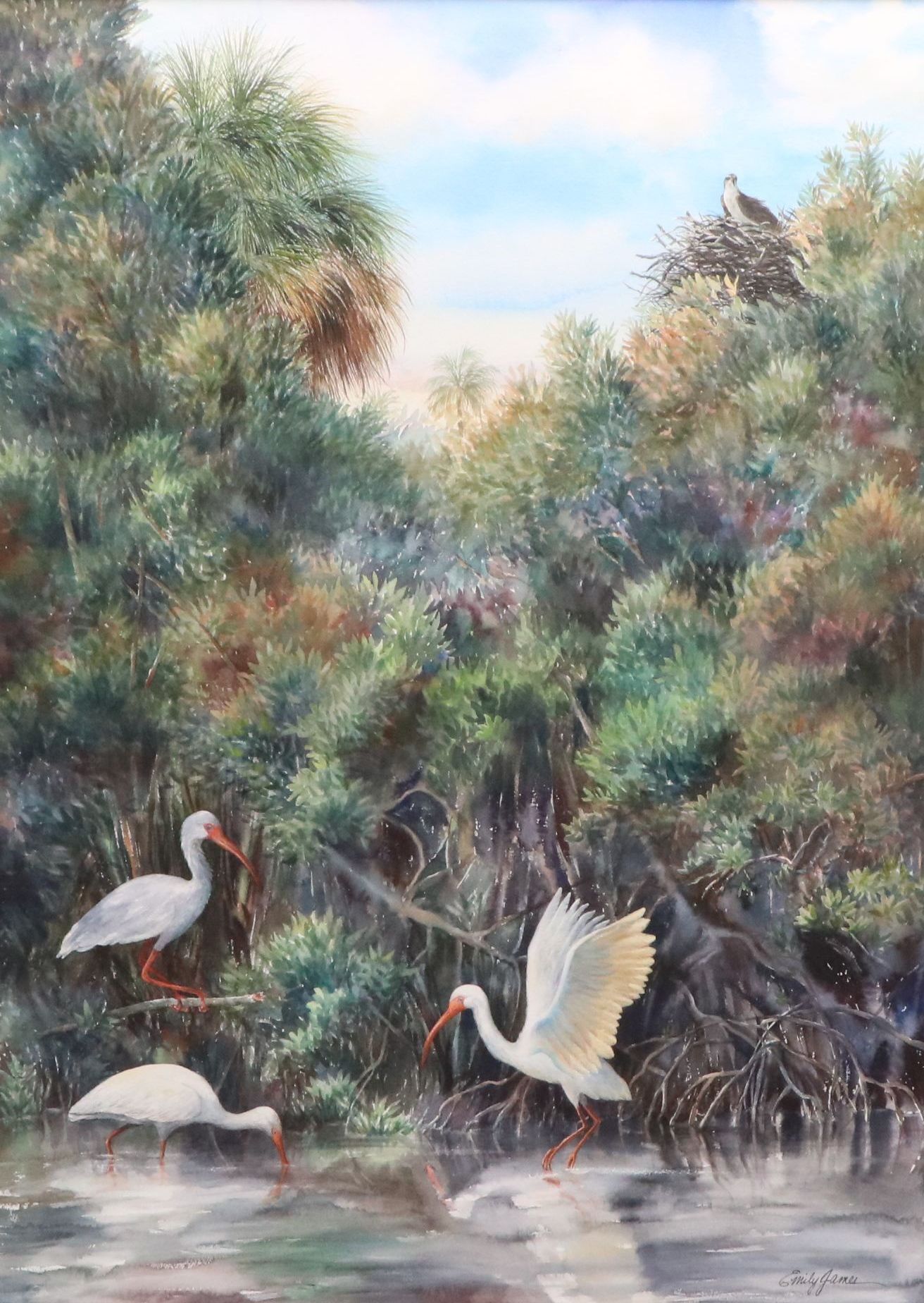 Emily James Watercolor Painting of Ibises in Marsh