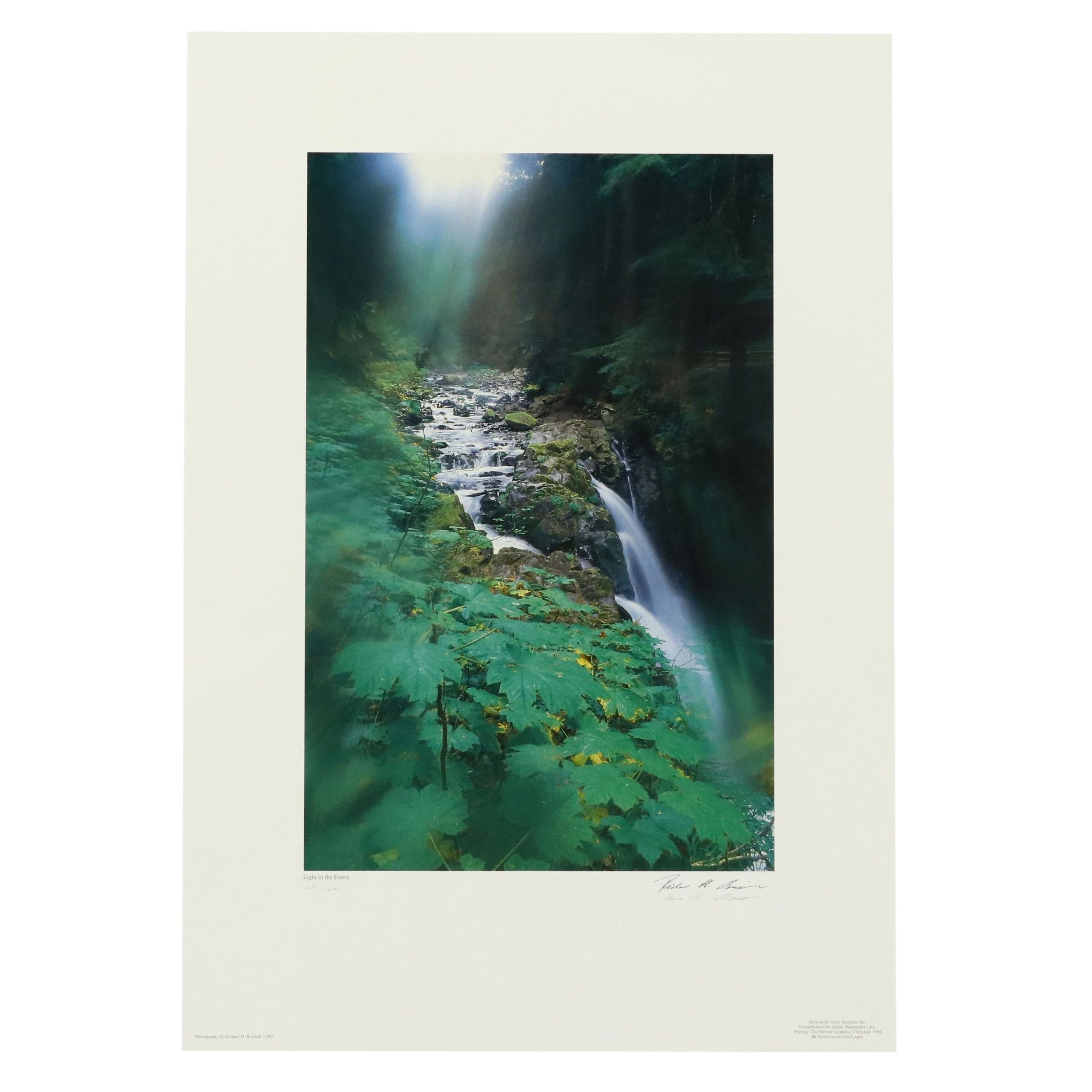 Richard H. Binstadt Color Landscape Print "Light in the Forest," 1993