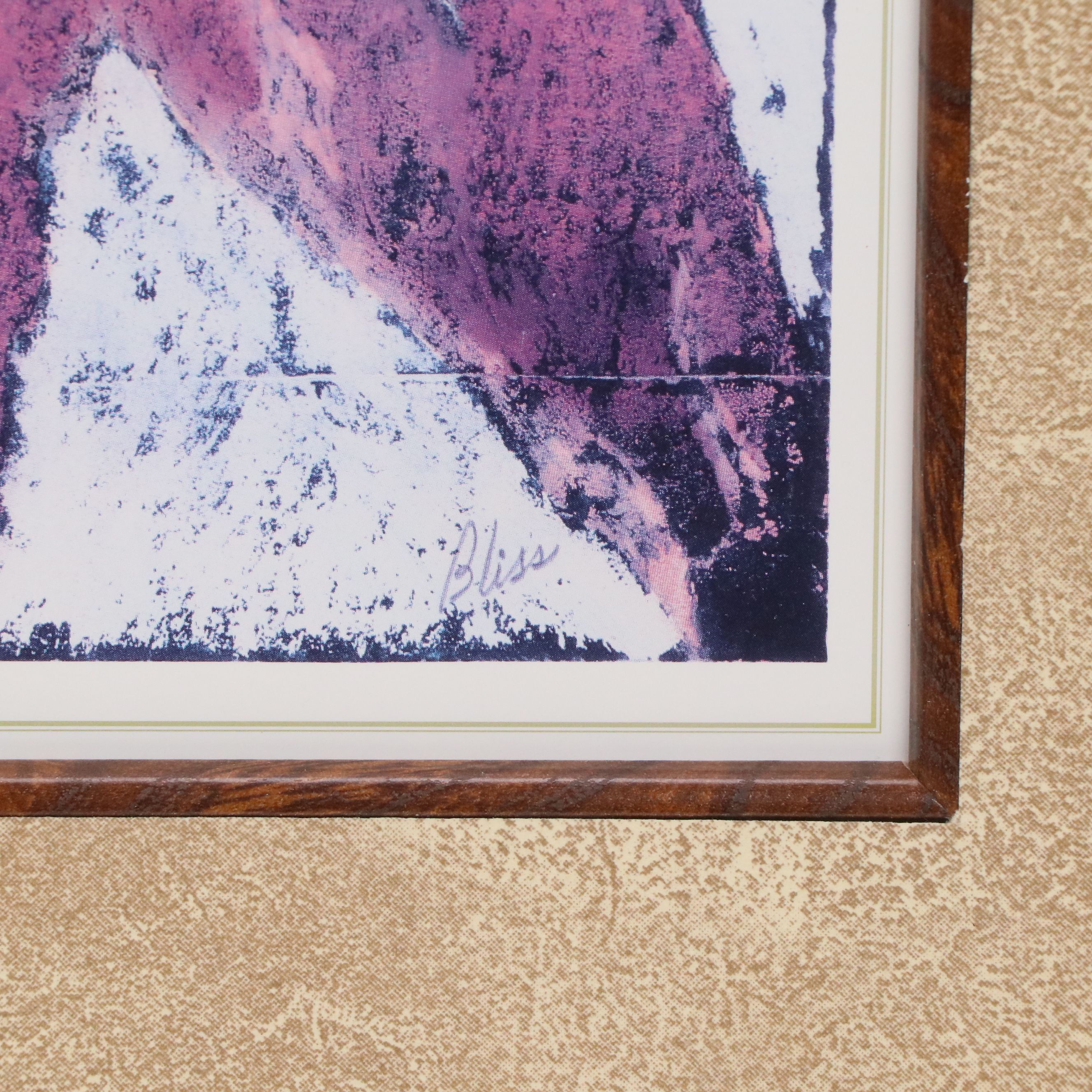 After Sharron Bliss Offset Lithograph "Liquid Amber I"