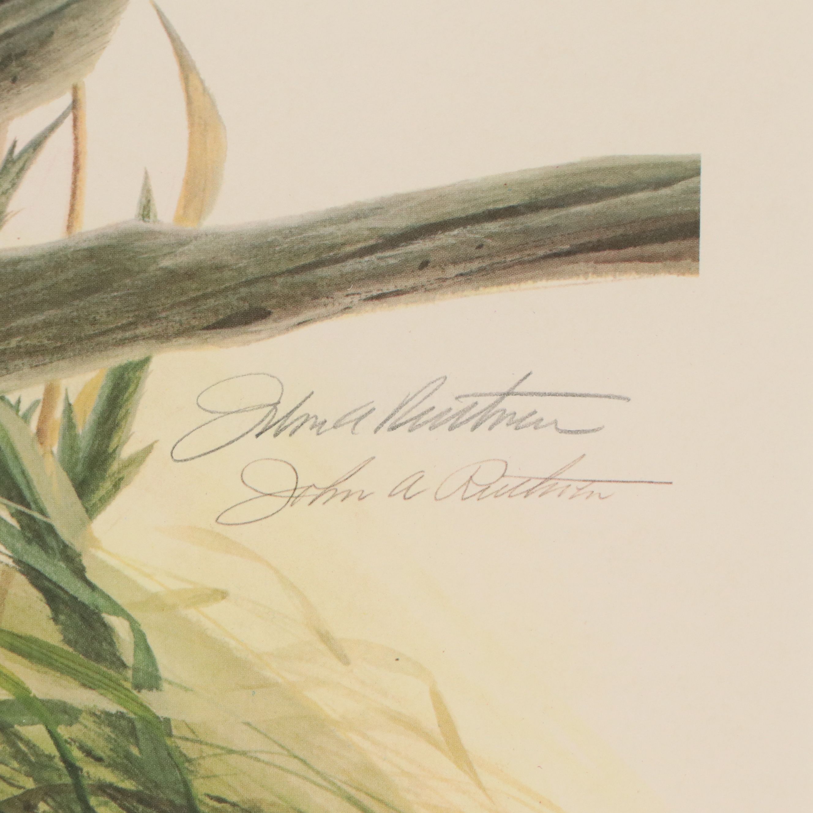 John A. Ruthven Offset Lithograph "Meadowlark"