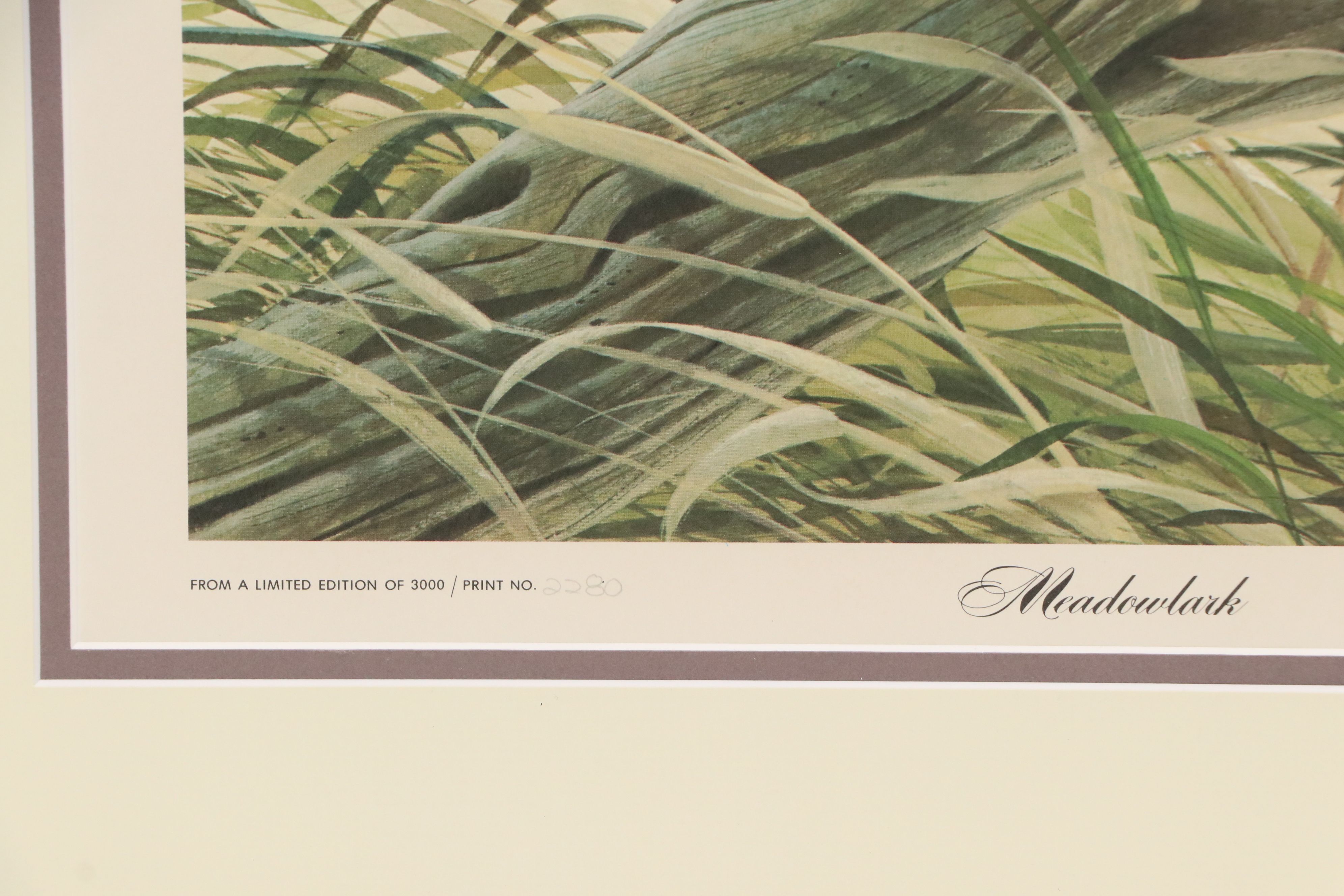 John A. Ruthven Offset Lithograph "Meadowlark"