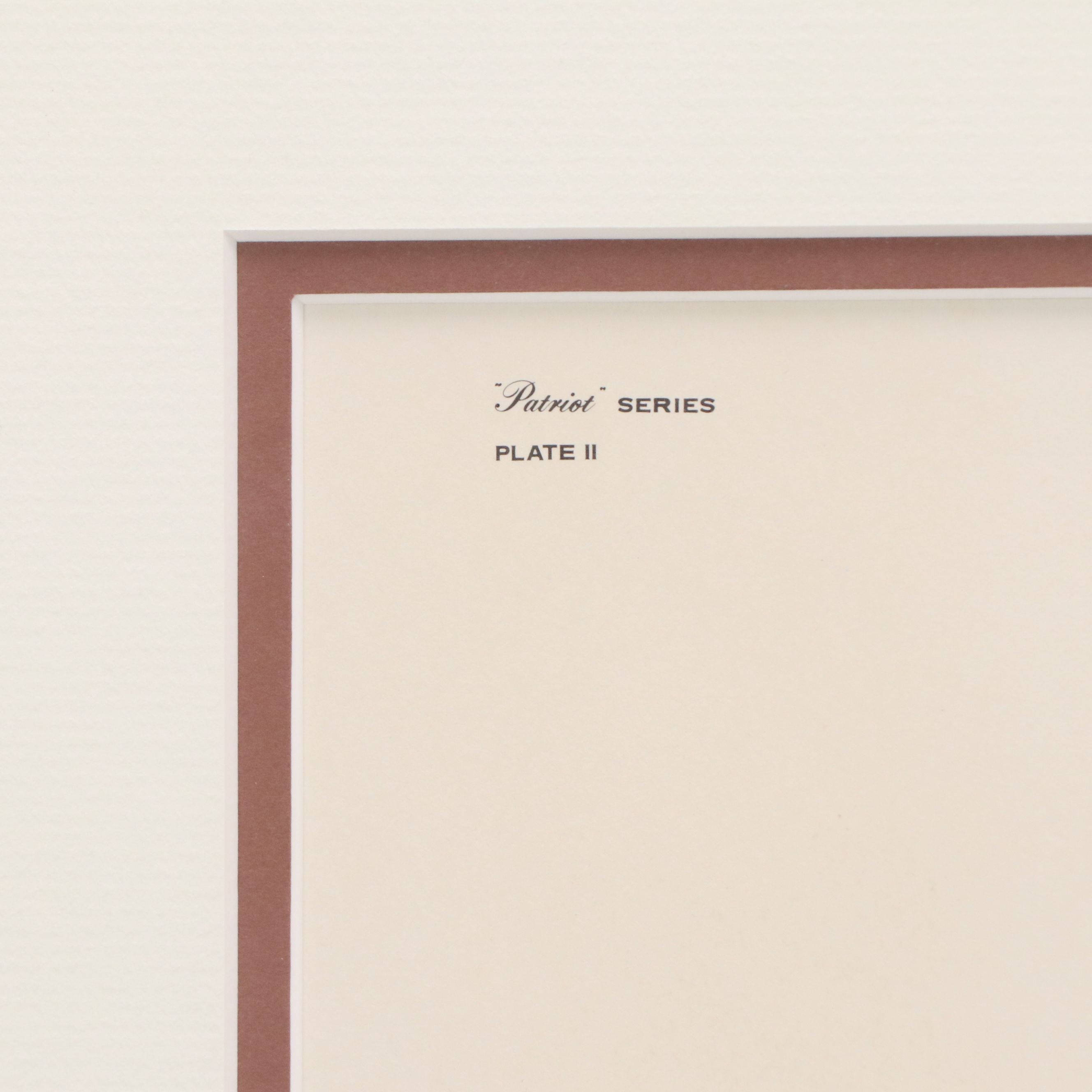 John A. Ruthven Offset Lithograph "Mourning Dove"