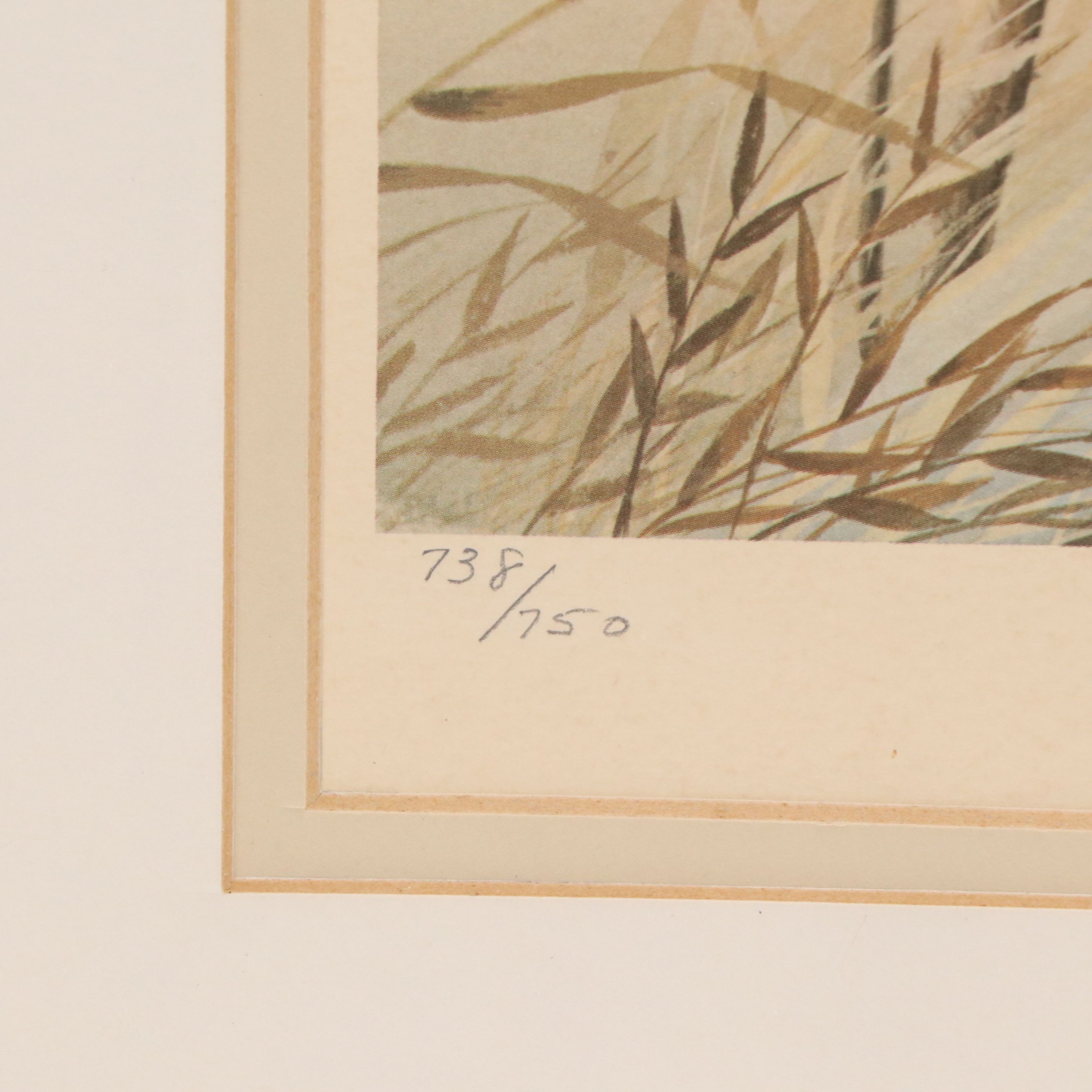 John A. Ruthven Offset Lithograph "Bobwhite Quail"