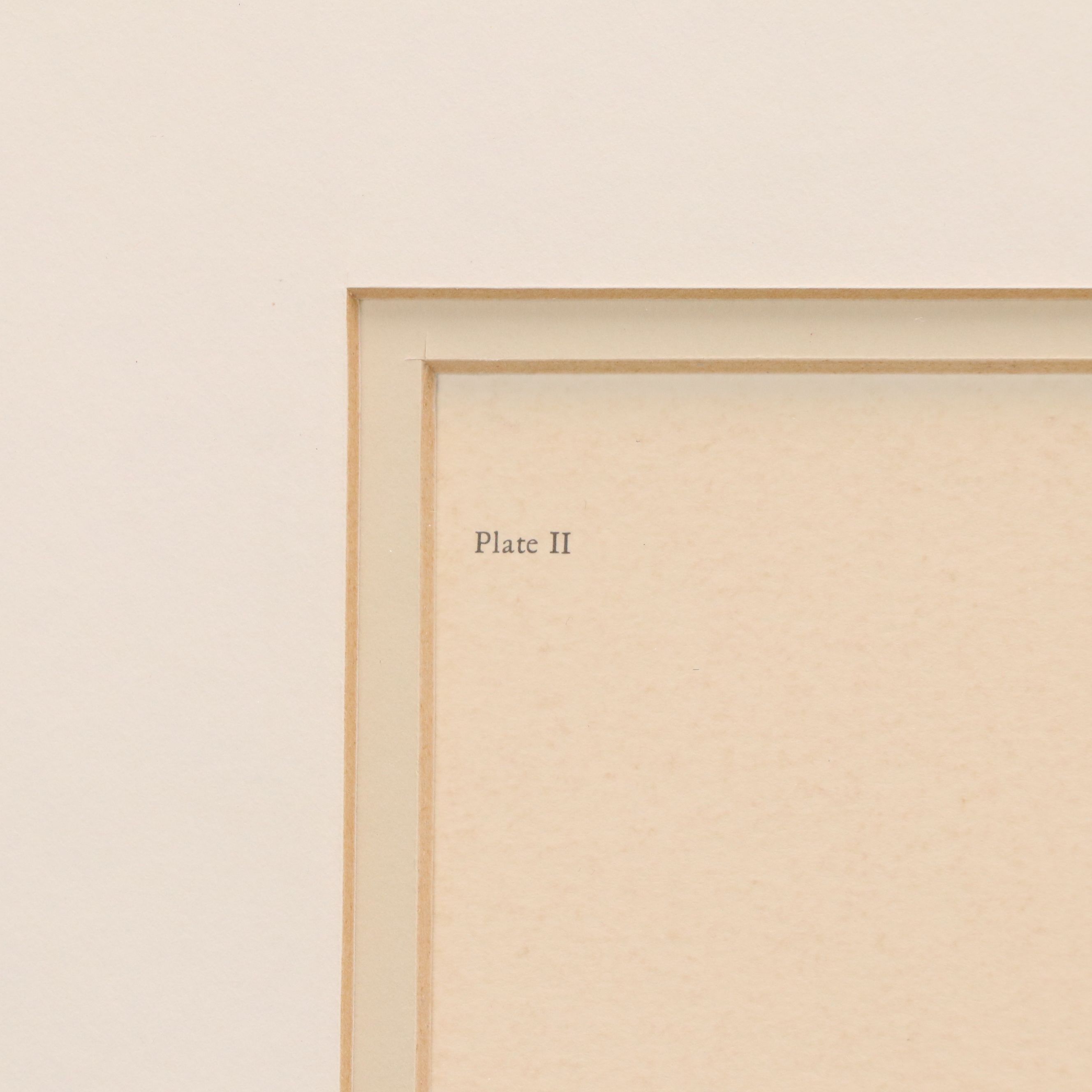 John A. Ruthven Offset Lithograph "Bobwhite Quail"